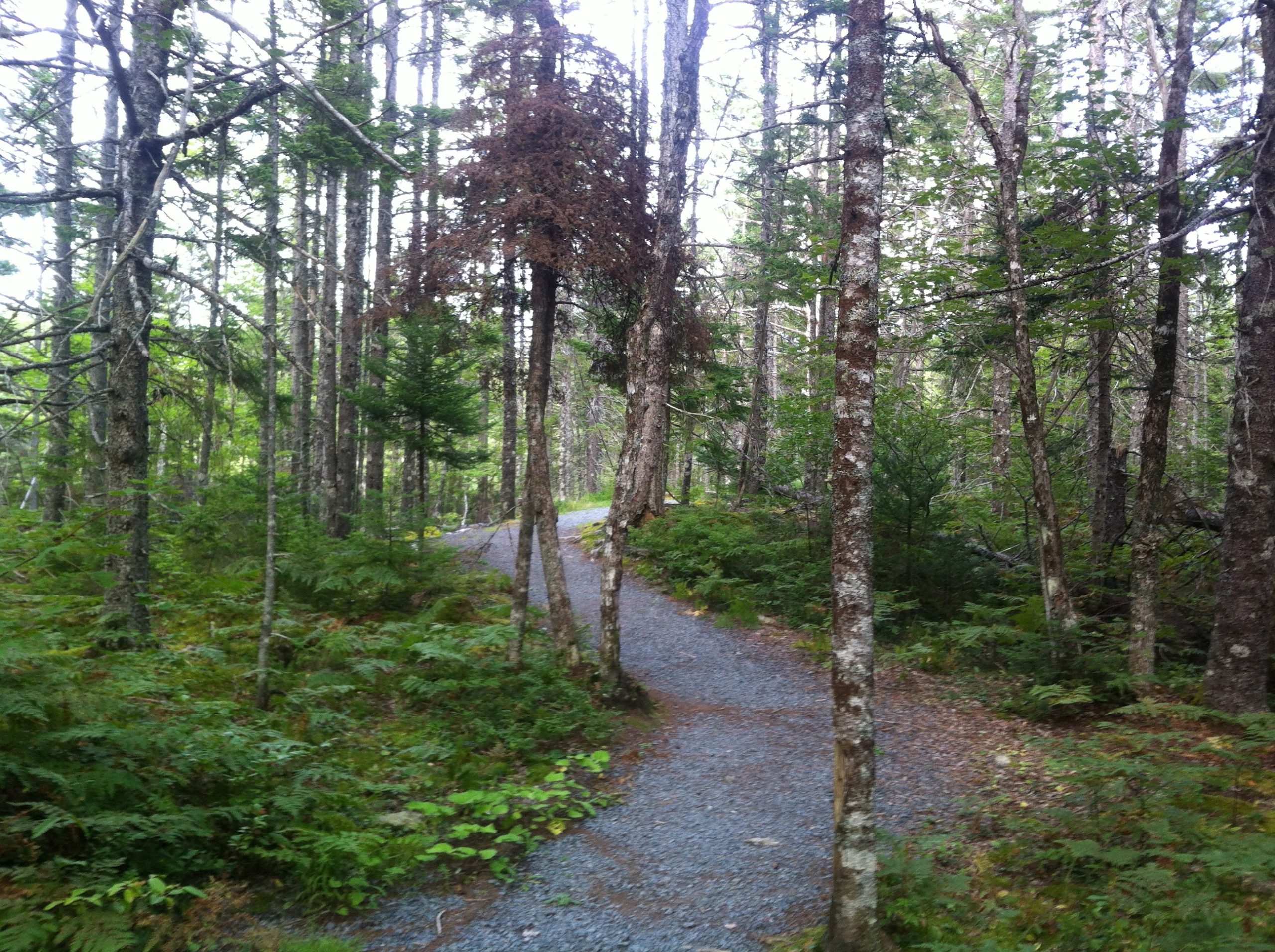 Bell Park trail photo 10 of 13