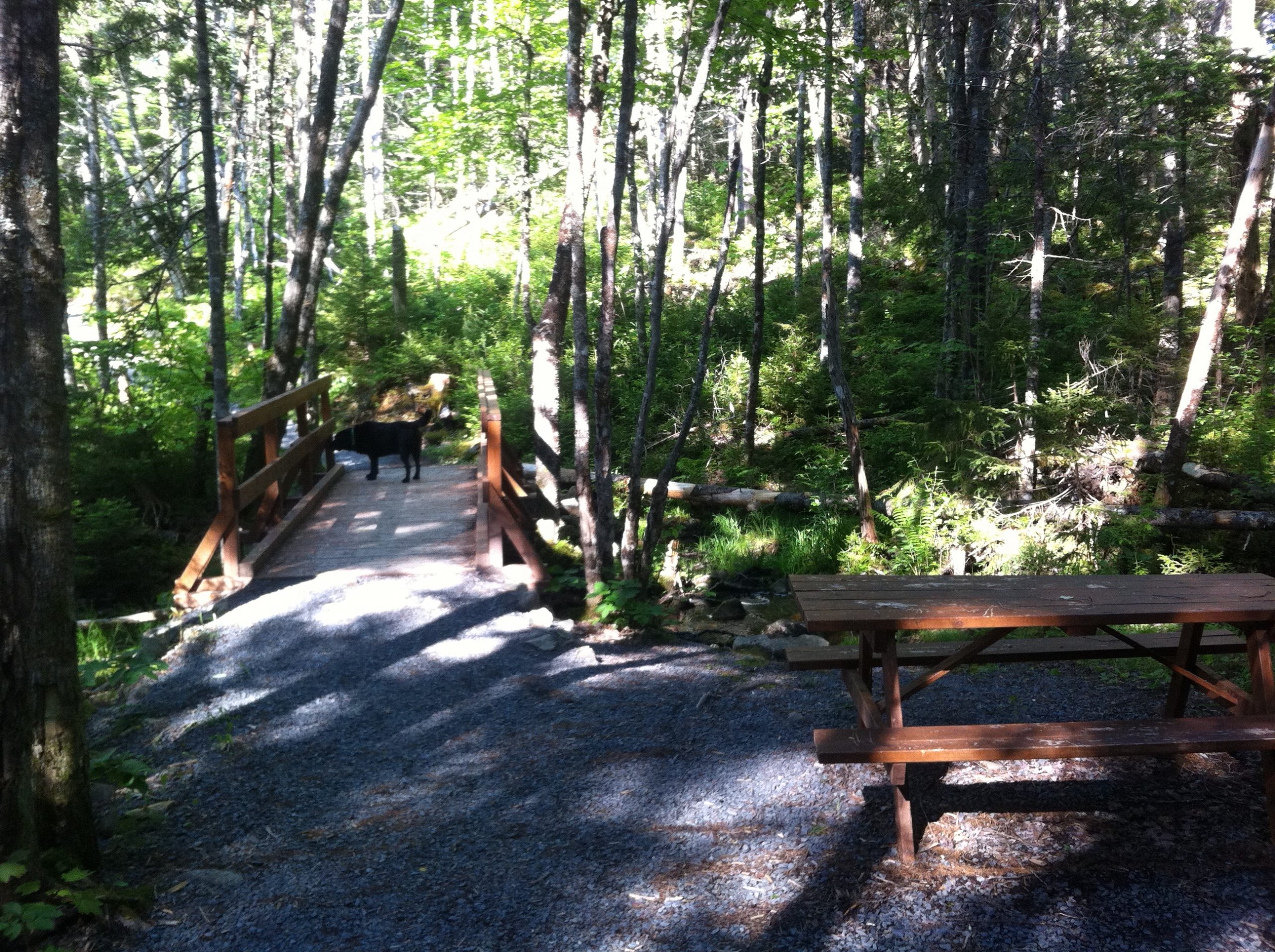 Bell Park trail photo 12 of 13
