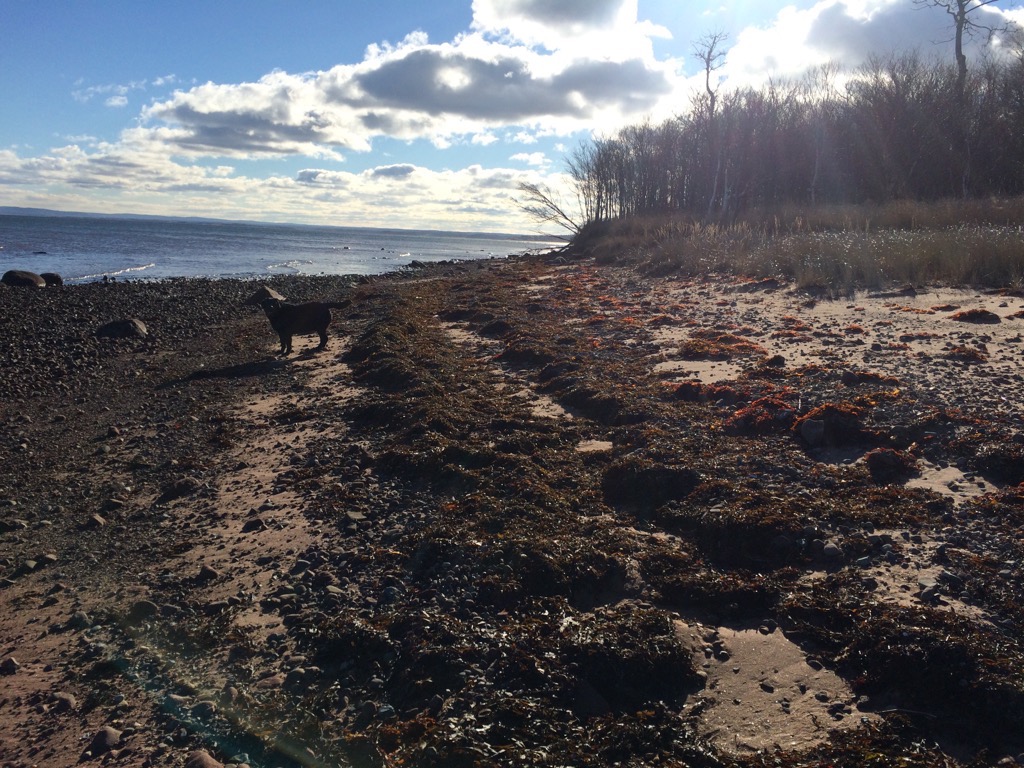 Caribou Munroes Island trail photo 2 of 9