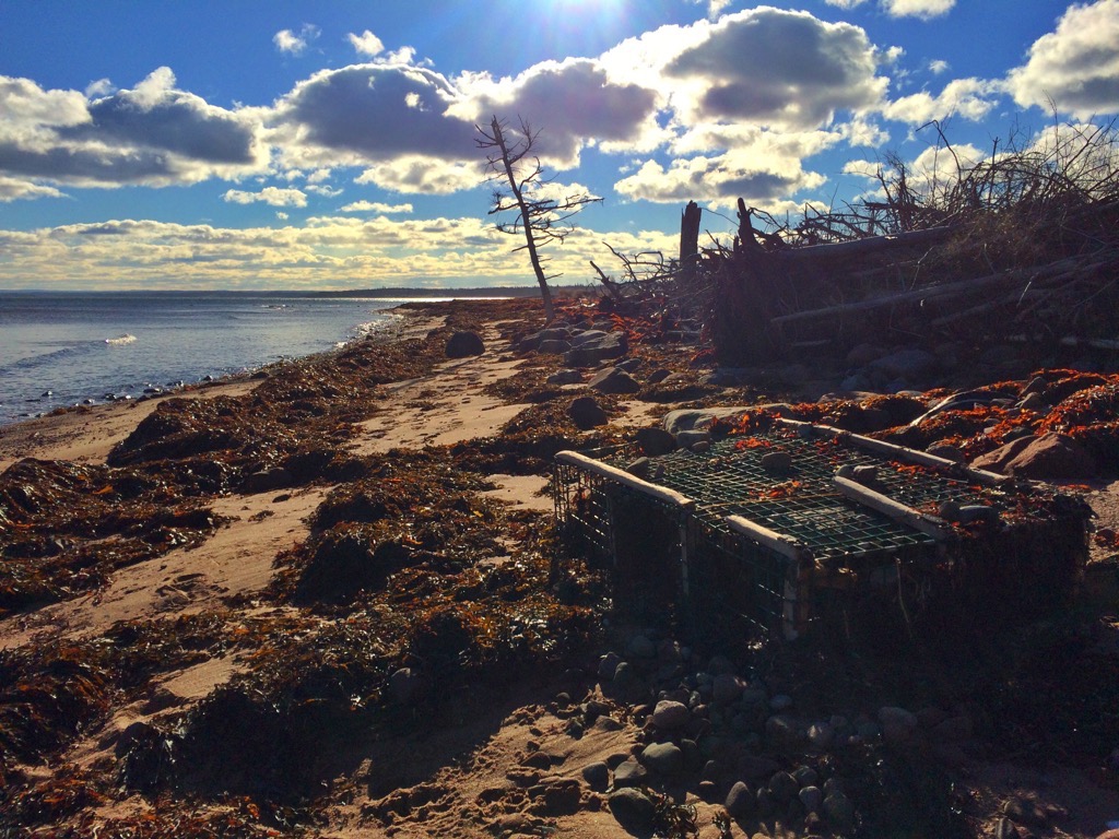 Caribou Munroes Island trail photo 3 of 9
