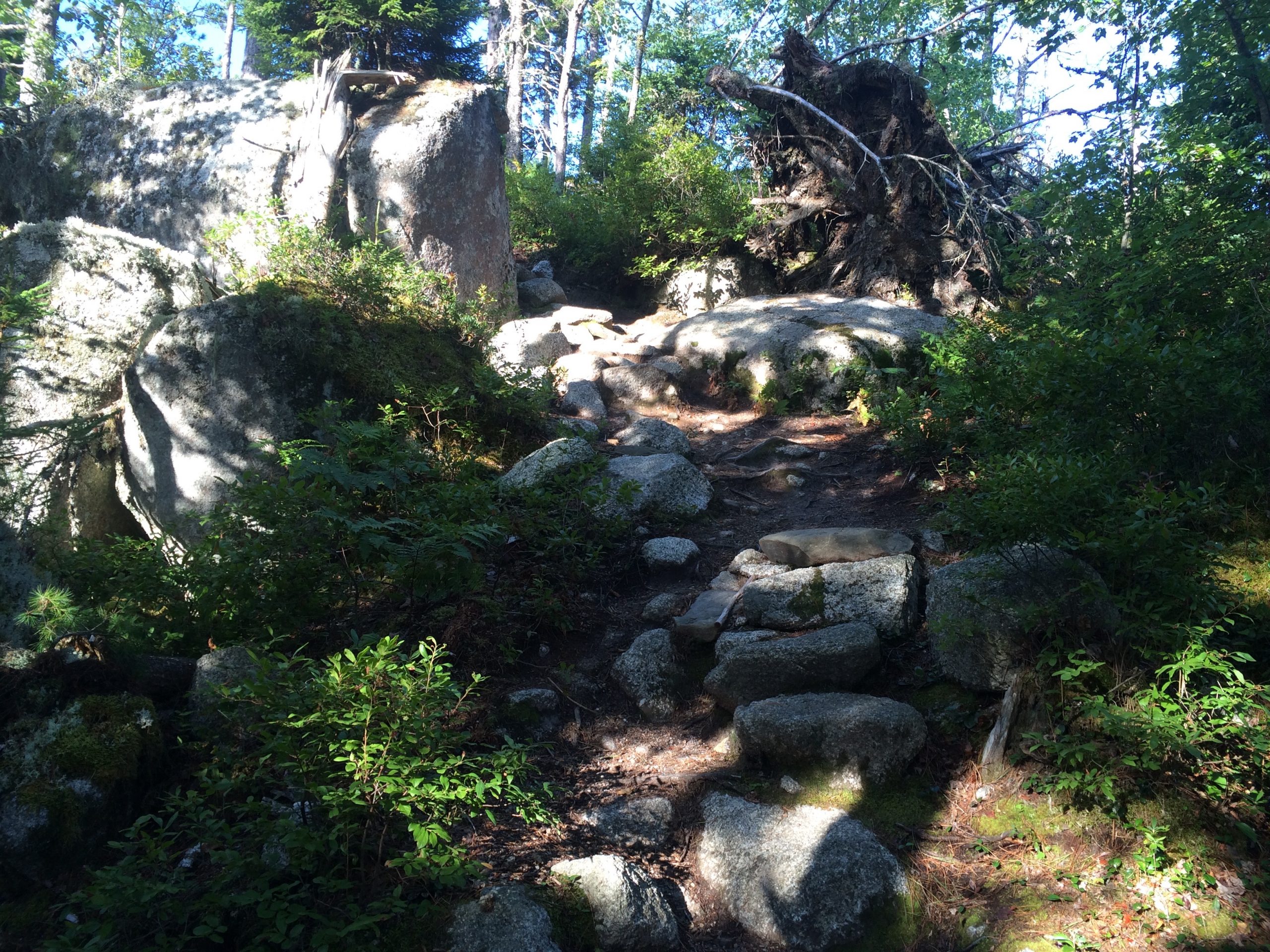 Crowbar Hiking Trails