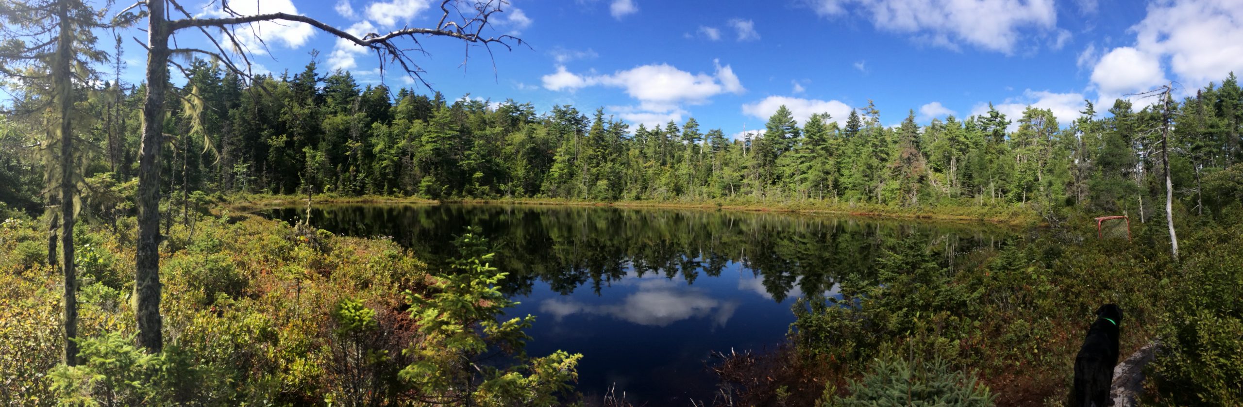 Crowbar Lake Trails - Porters Lake & Spriggs Brook trail photo 2 of 12
