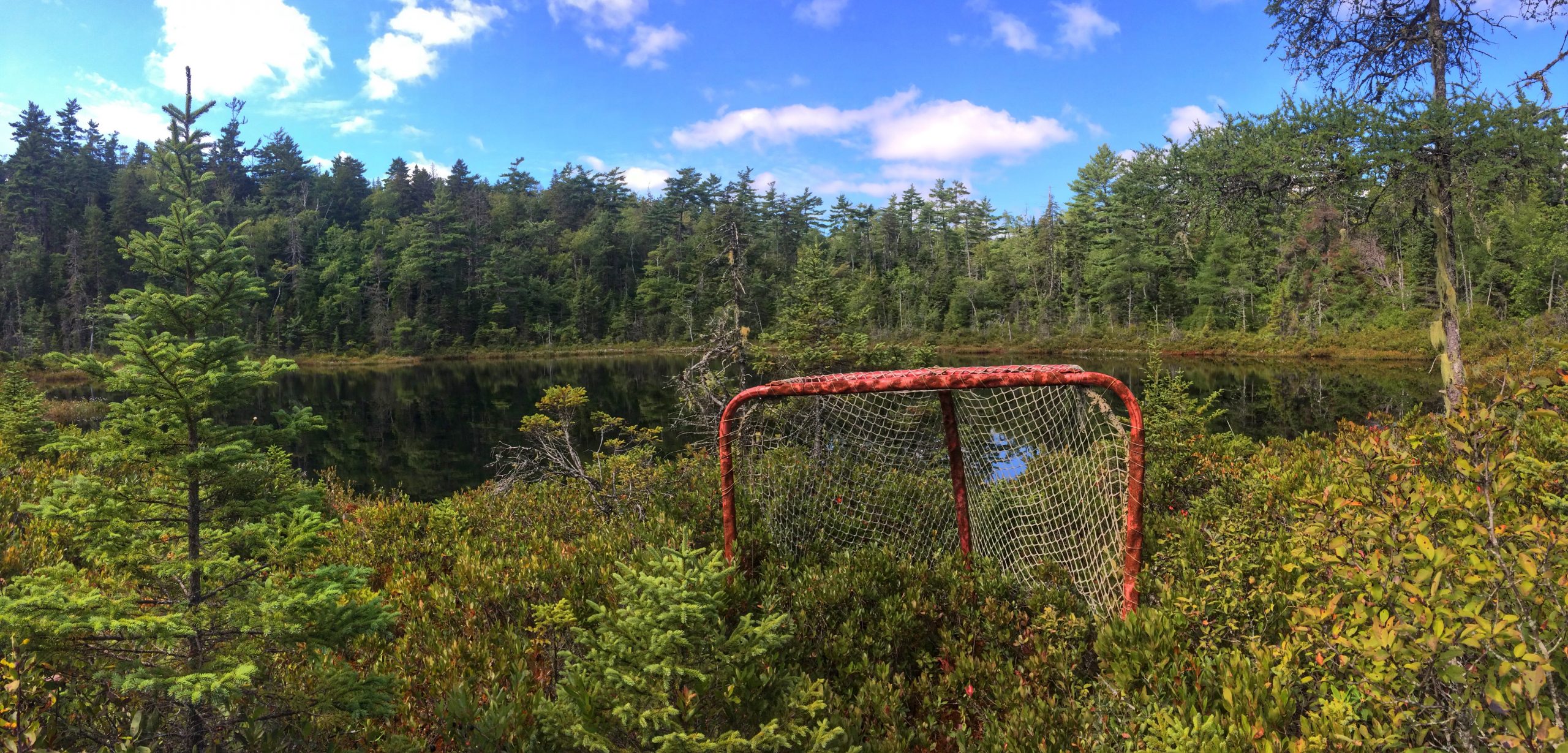 Crowbar Lake Trails - Porters Lake & Spriggs Brook trail photo 3 of 12