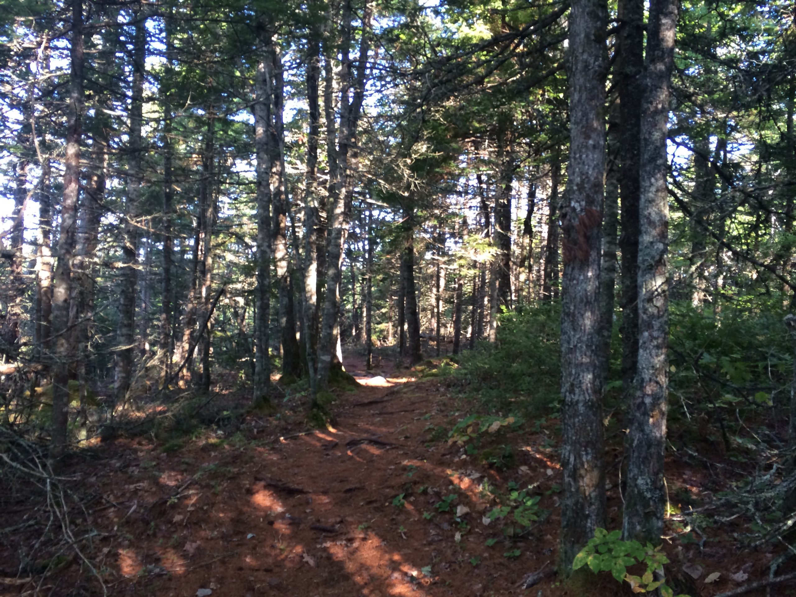 Crowbar Lake Trails - Porters Lake & Spriggs Brook trail photo 4 of 12