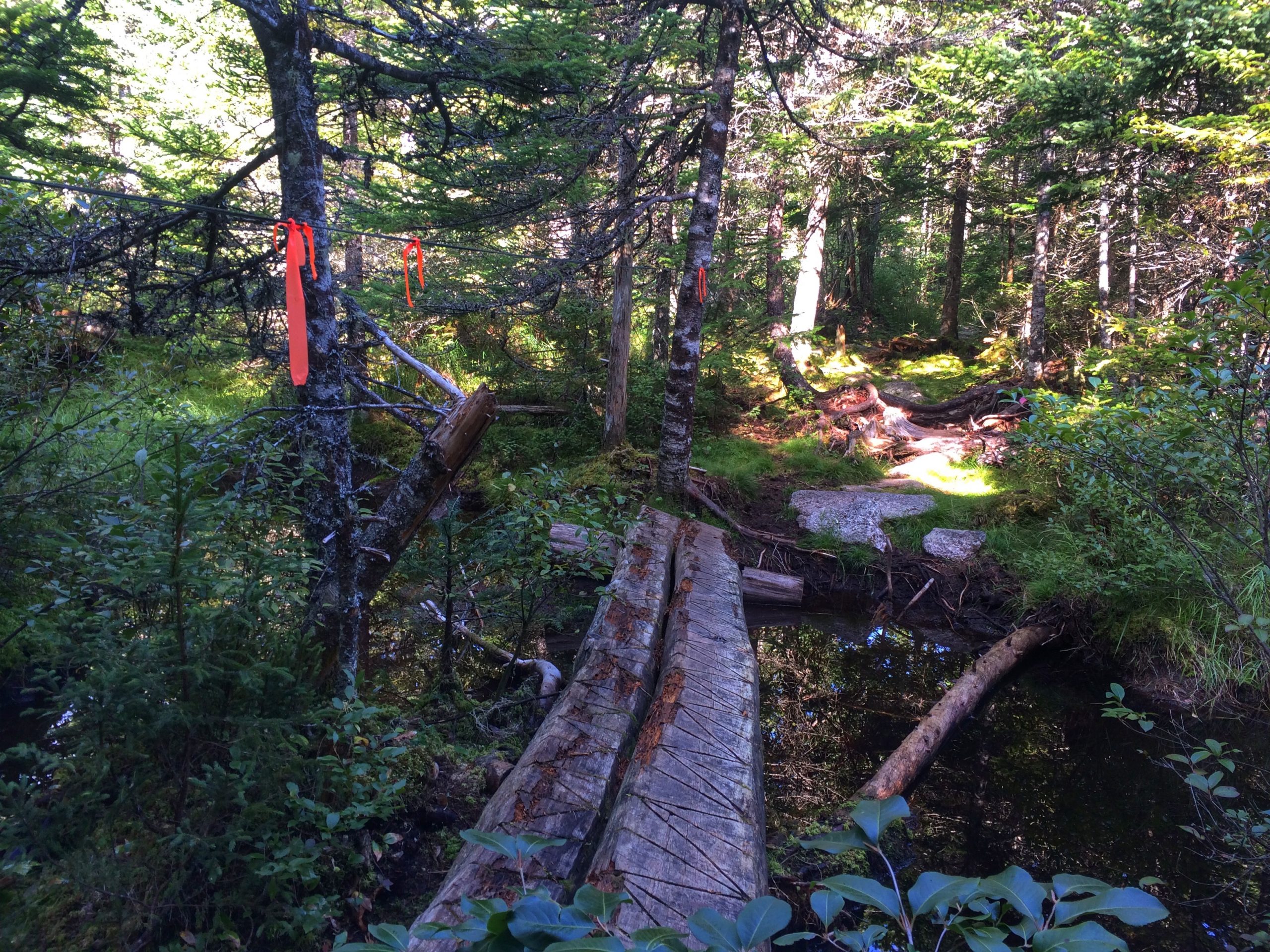 Crowbar Lake Trails - Porters Lake & Spriggs Brook trail photo 5 of 12