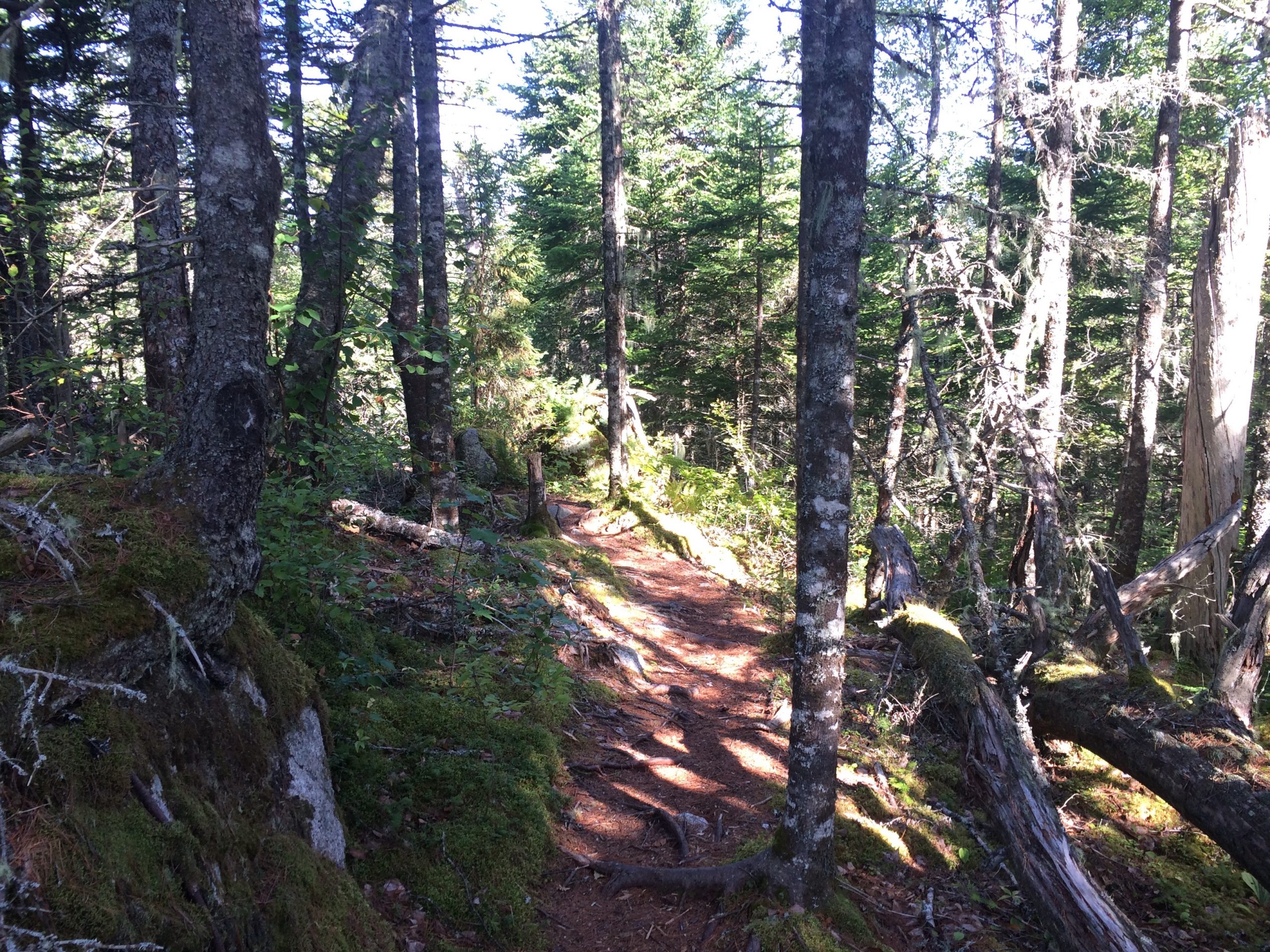 Crowbar Lake Trails - Porters Lake & Spriggs Brook trail photo 6 of 12