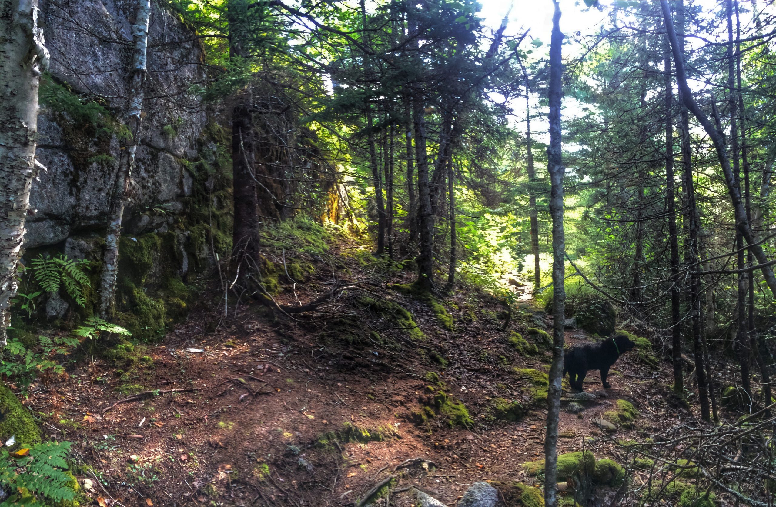 Crowbar Lake Trails - Porters Lake & Spriggs Brook trail photo 8 of 12