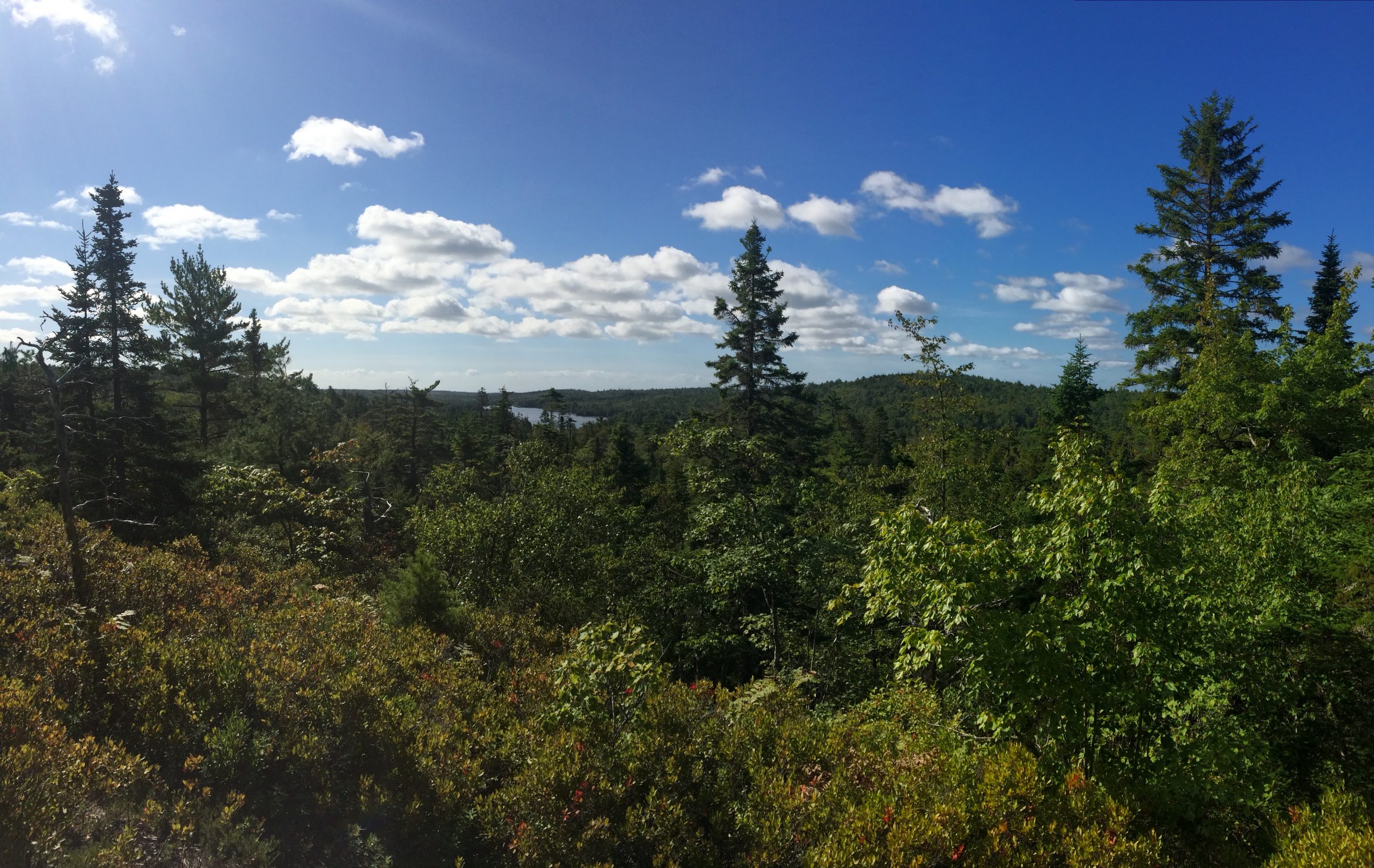 Crowbar Lake Trails - Porters Lake & Spriggs Brook trail photo 9 of 12