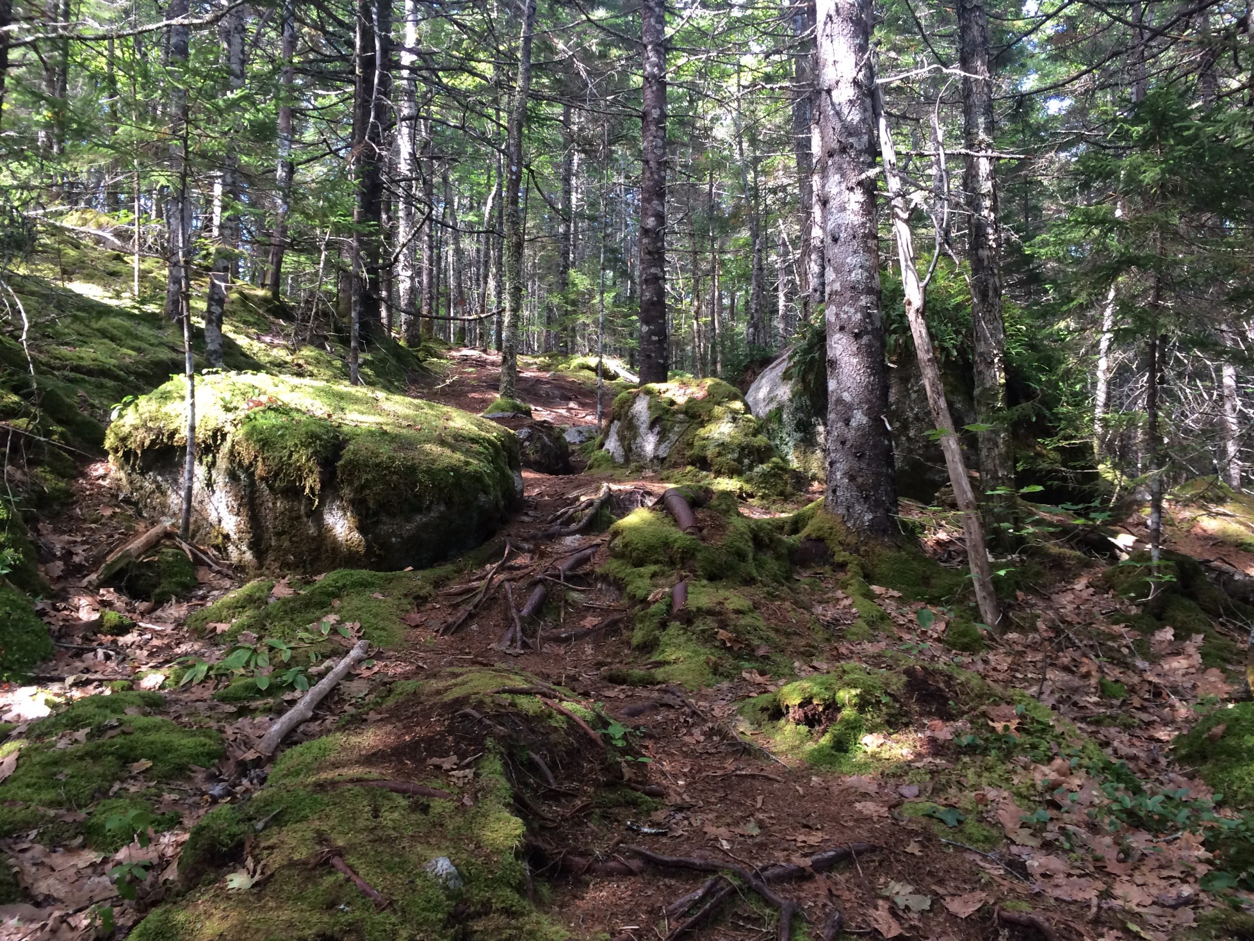 Crowbar Lake Trails - Porters Lake & Spriggs Brook trail photo 11 of 12
