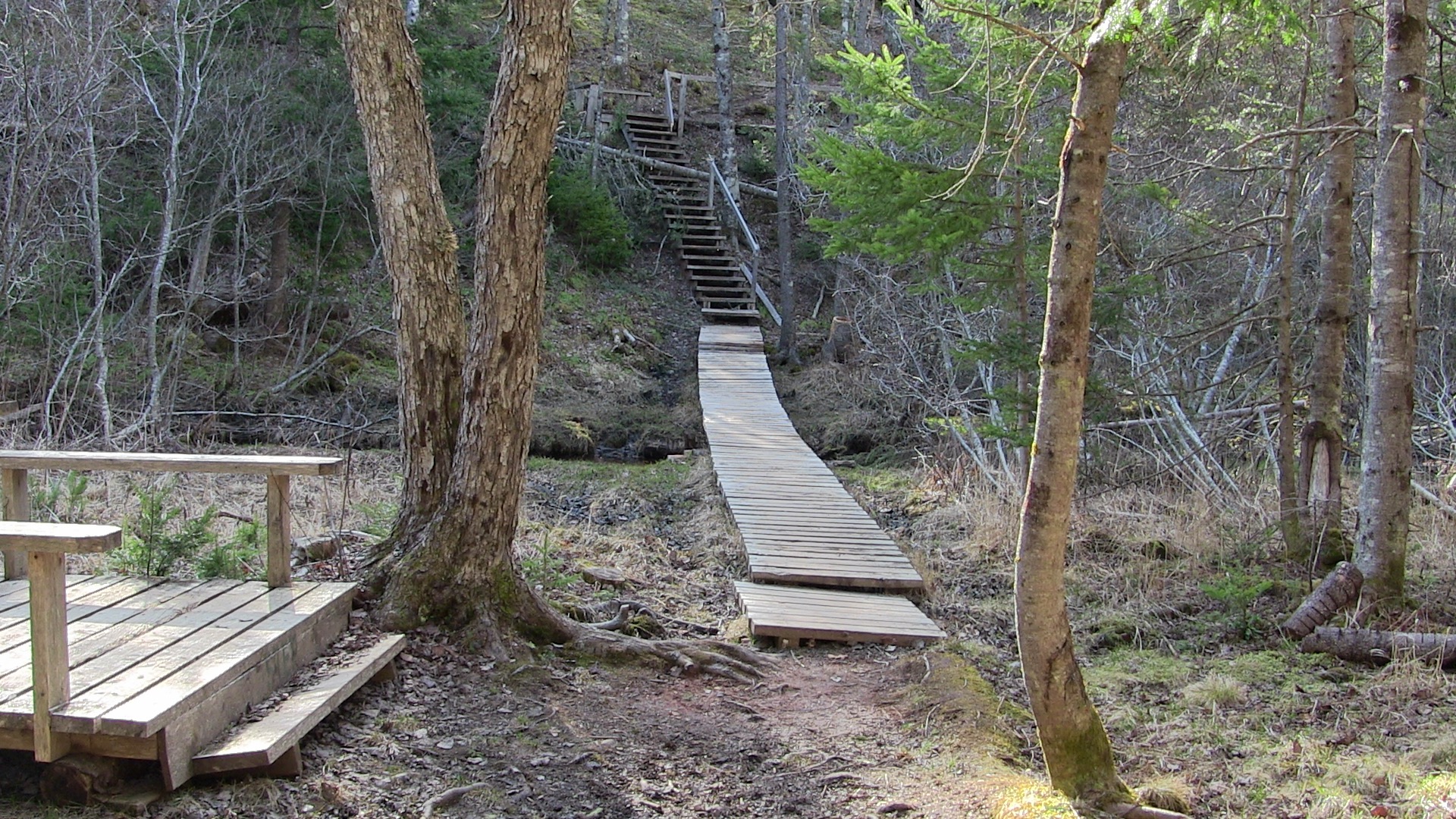 Mi'kmawey Debert trail photo 2 of 5