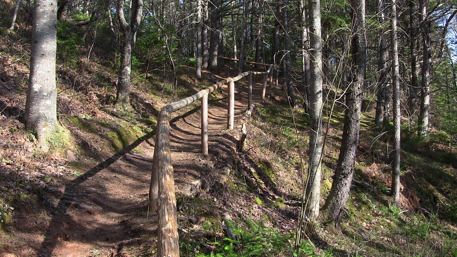 Mi'kmawey Debert trail photo 3 of 5
