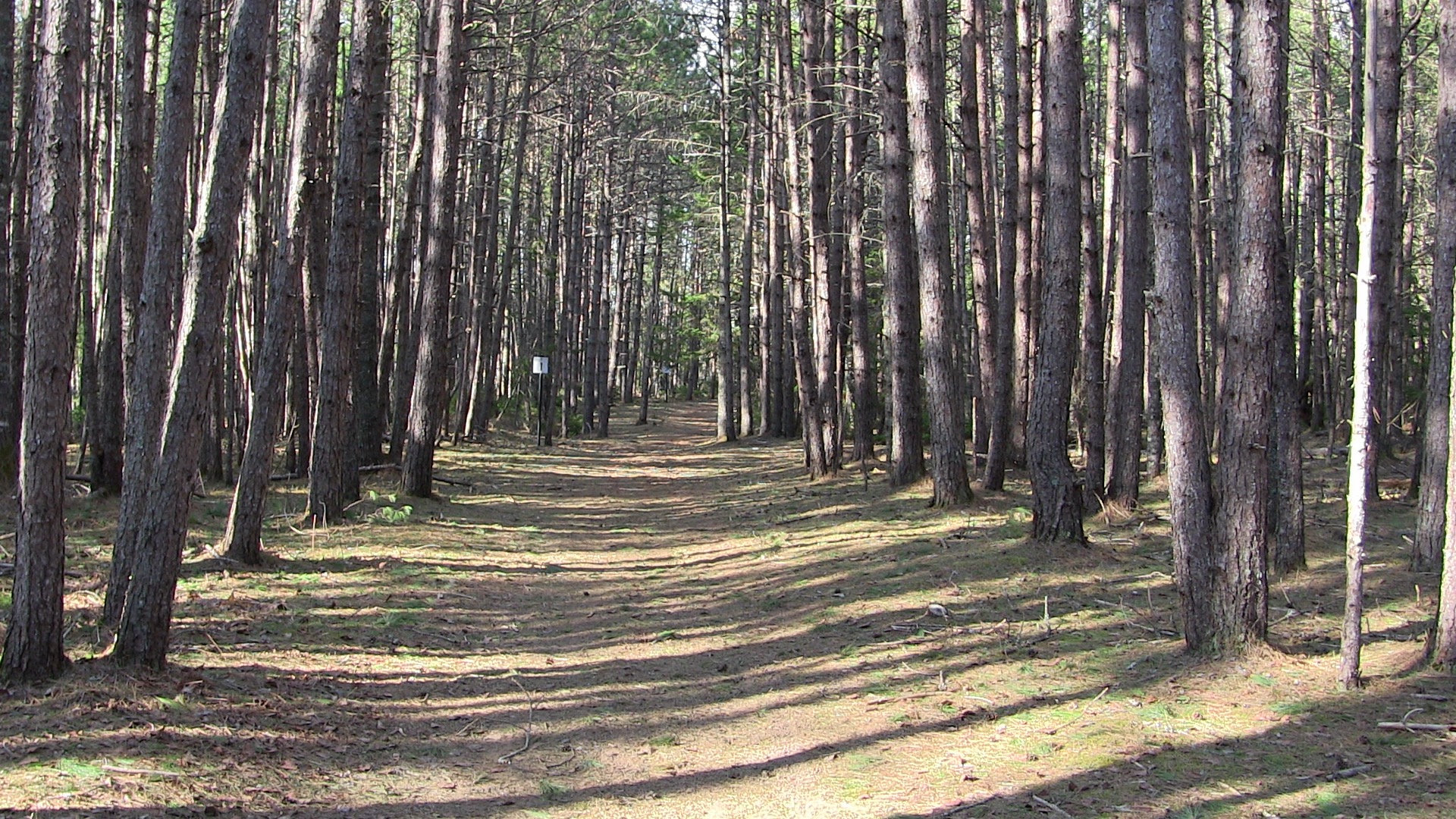 Mi'kmawey Debert trail photo 4 of 5