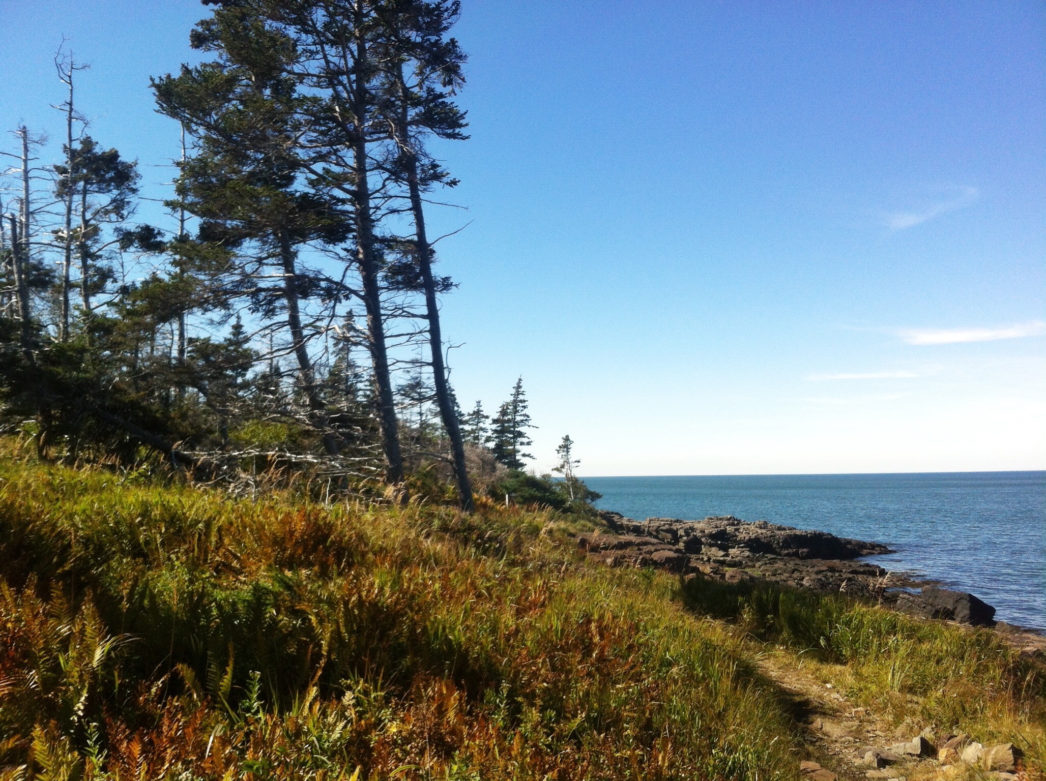 Delaps Cove Wilderness Trail trail photo 4 of 9
