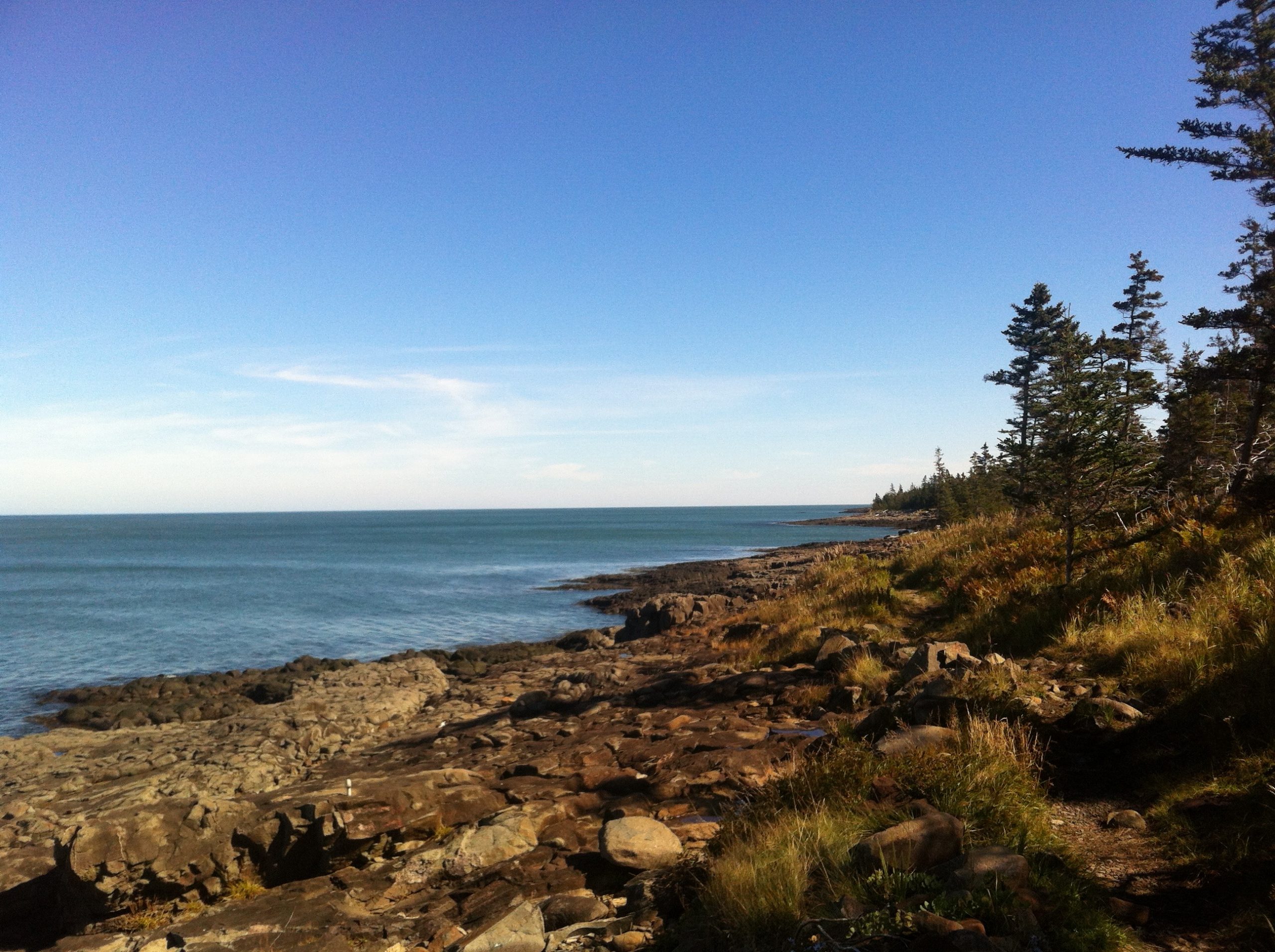 Delaps Cove Wilderness Trail trail photo 5 of 9