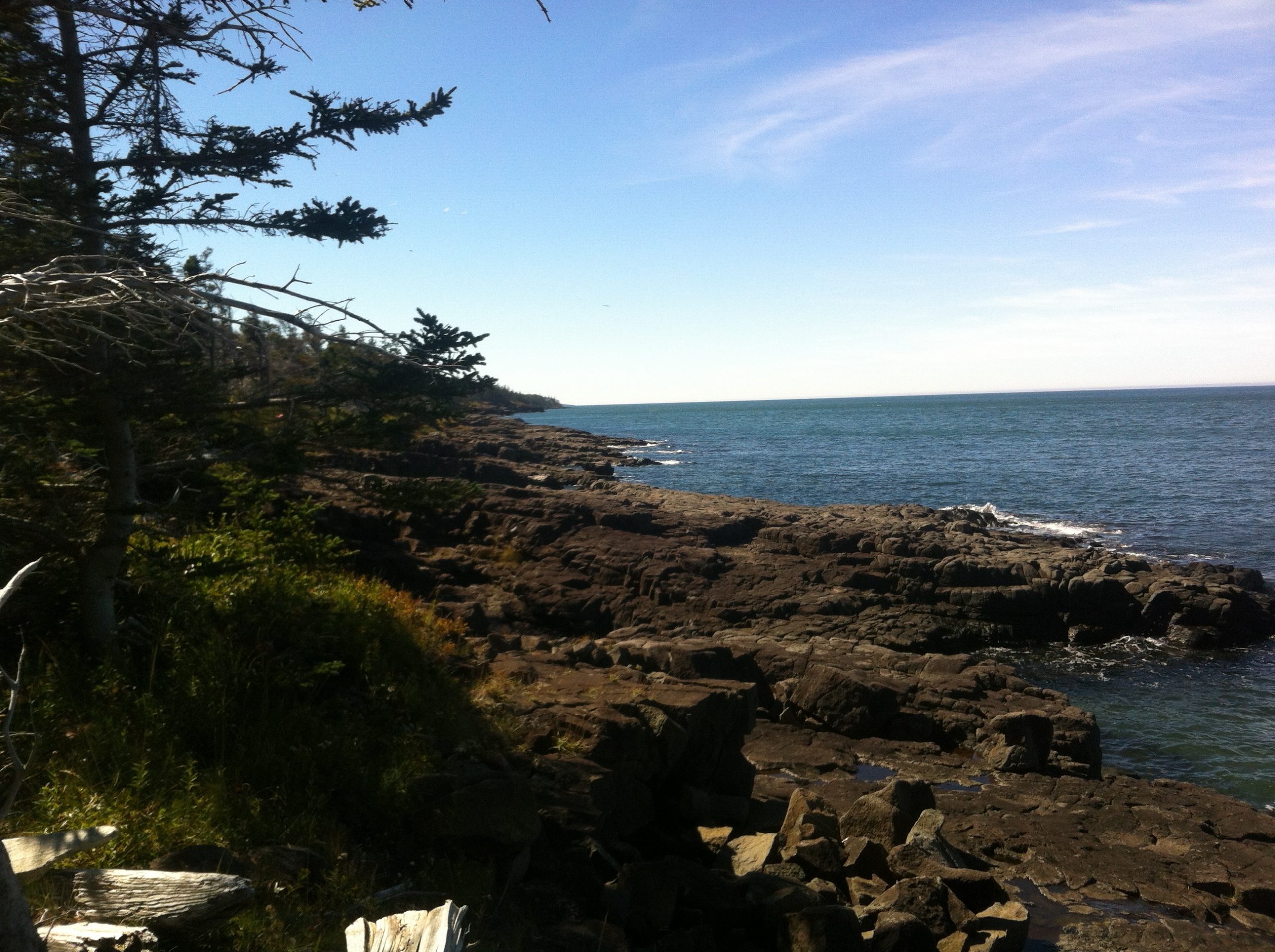 Delaps Cove Wilderness Trail trail photo 8 of 9