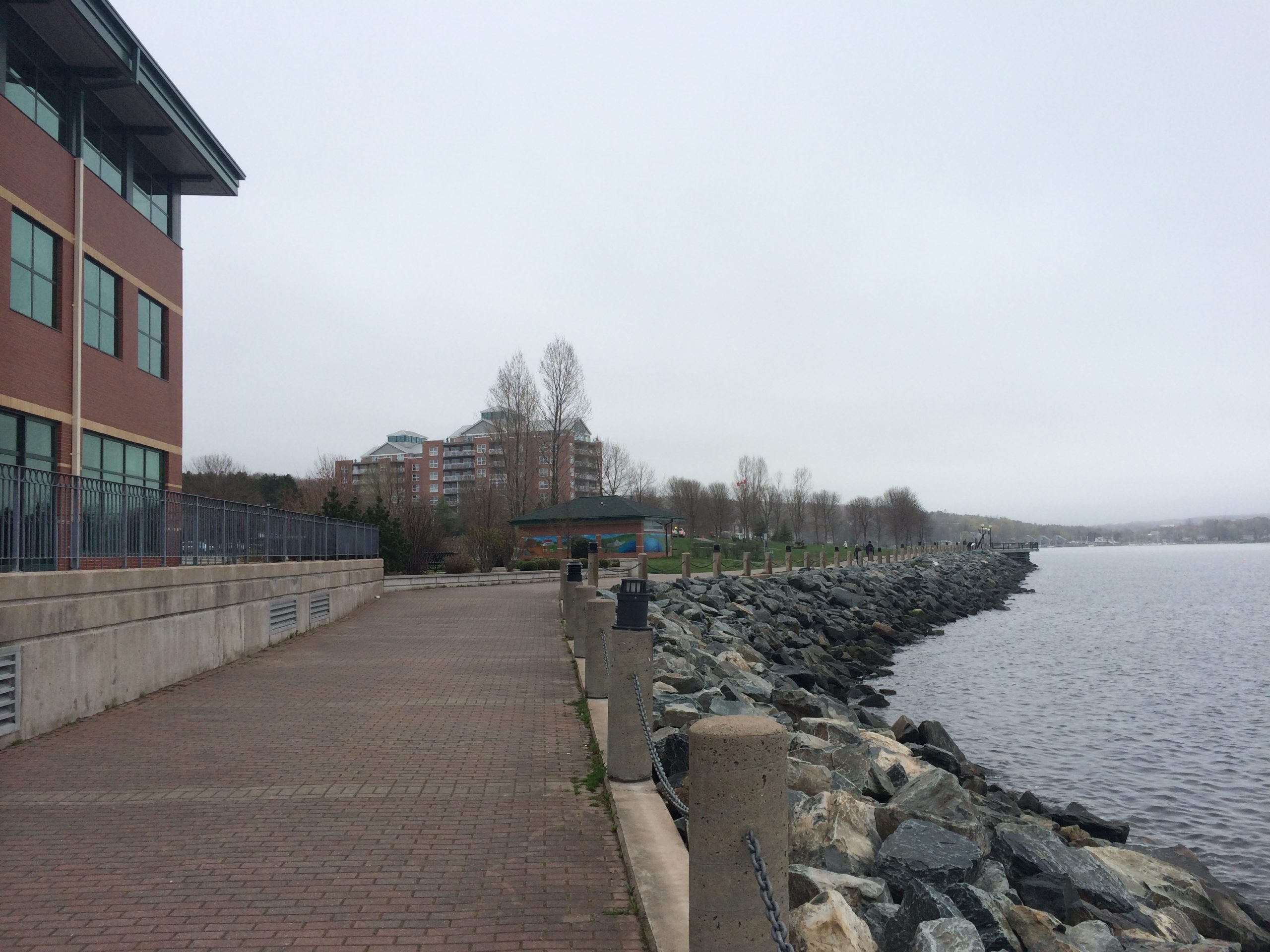 Dewolf Park Boardwalk trail photo 4 of 9