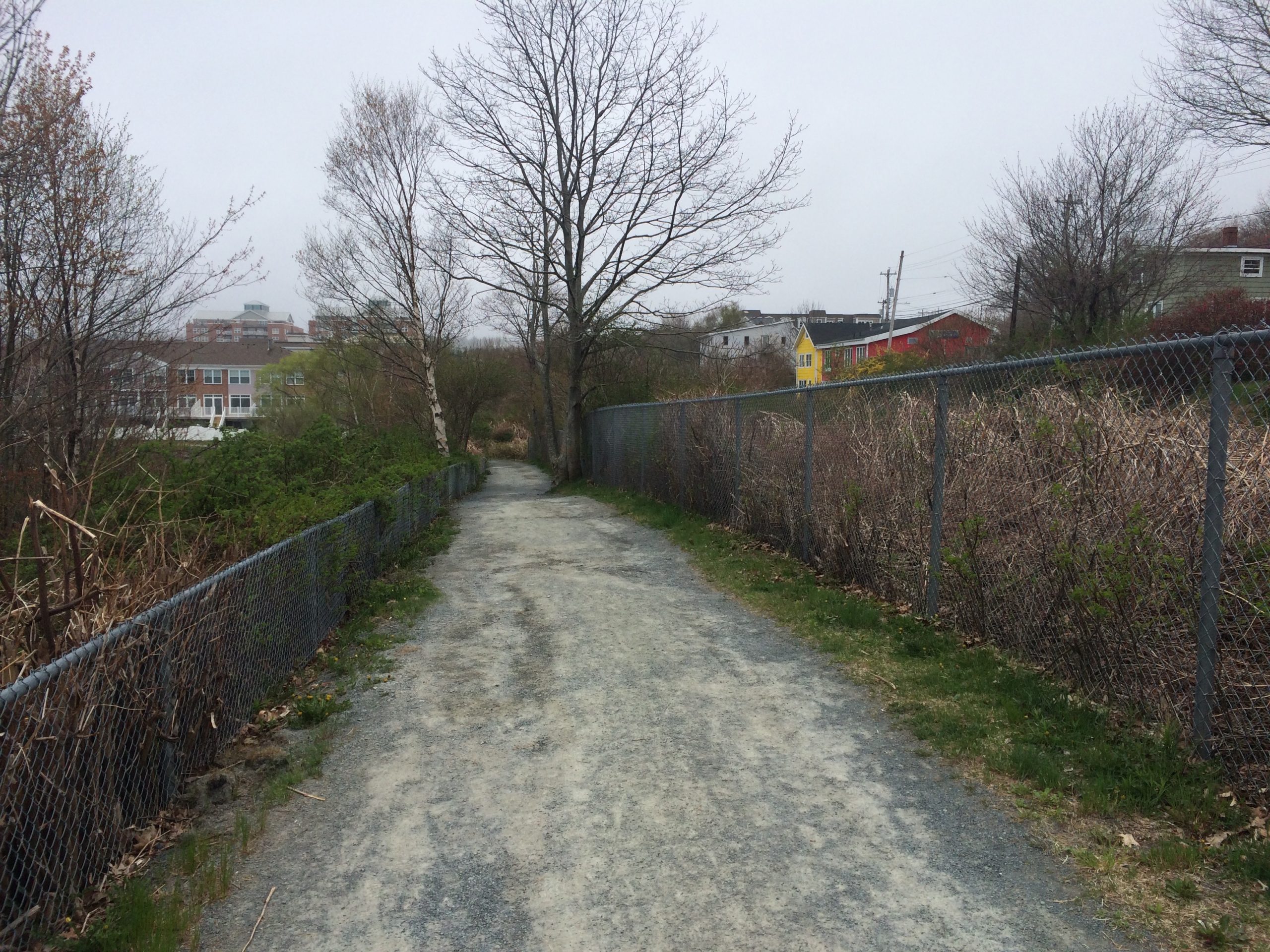 Dewolf Park Boardwalk trail photo 6 of 9