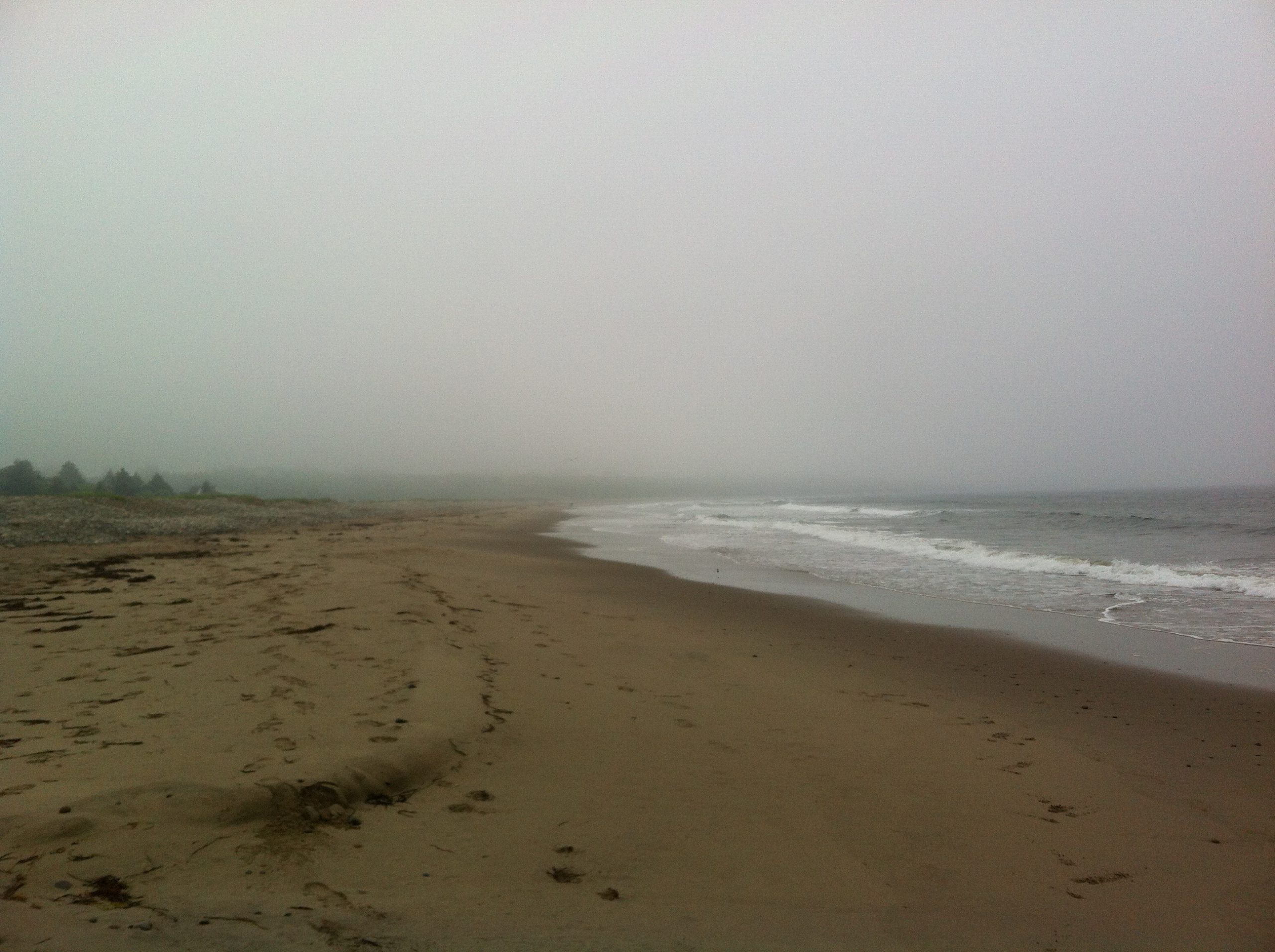 Gaff Point / Hirtle’s Beach trail photo 10 of 17
