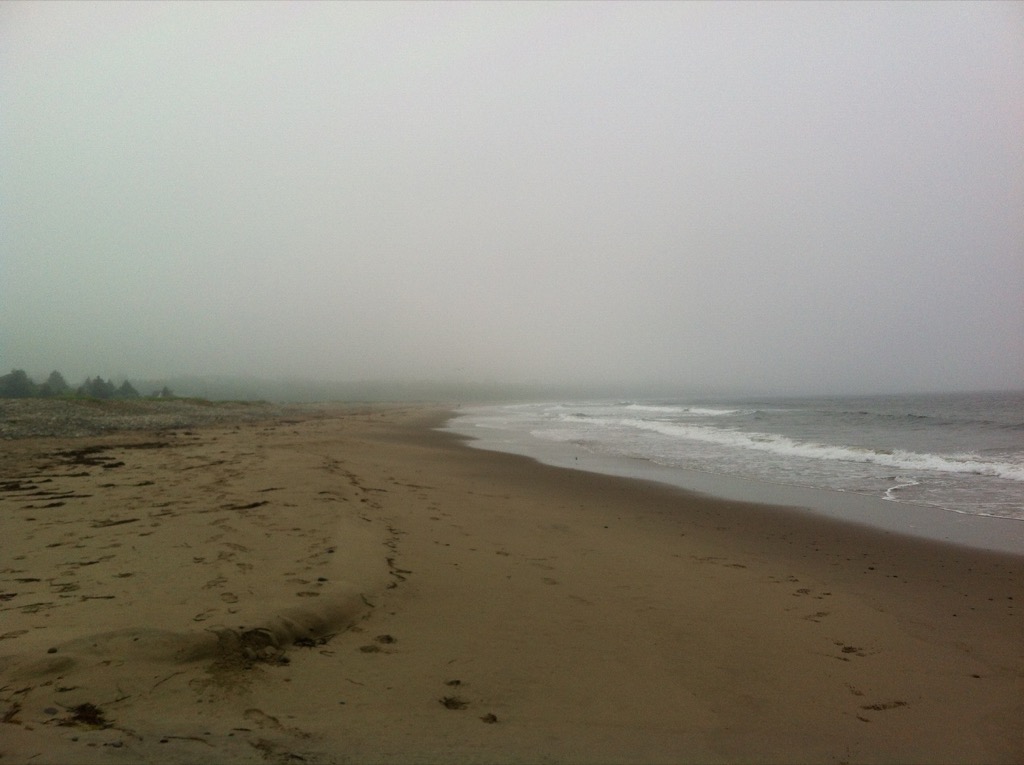 Gaff Point / Hirtle’s Beach trail photo 2 of 17