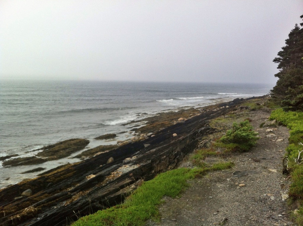 Gaff Point / Hirtle’s Beach trail photo 4 of 17