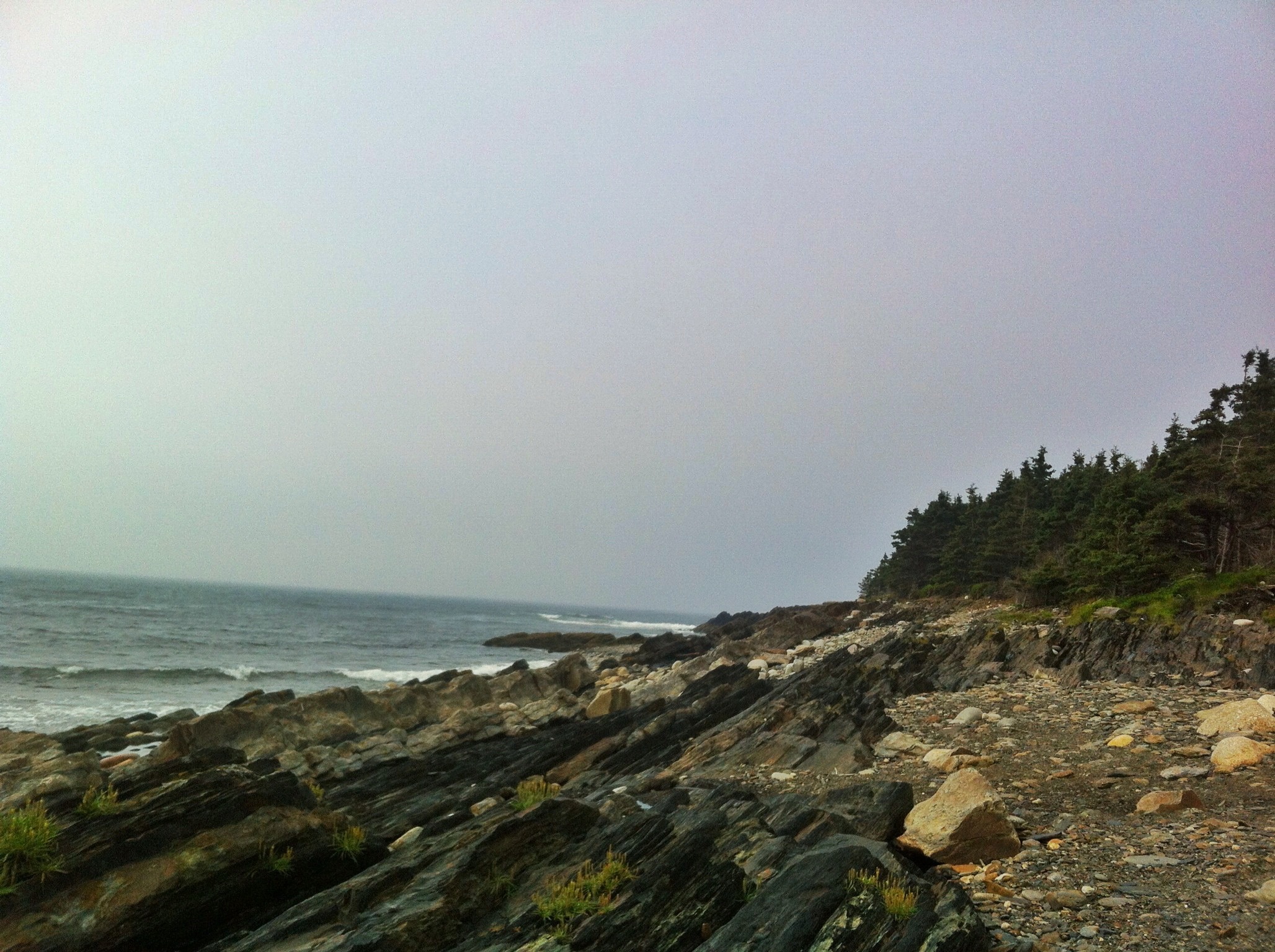 Gaff Point / Hirtle’s Beach trail photo 13 of 17