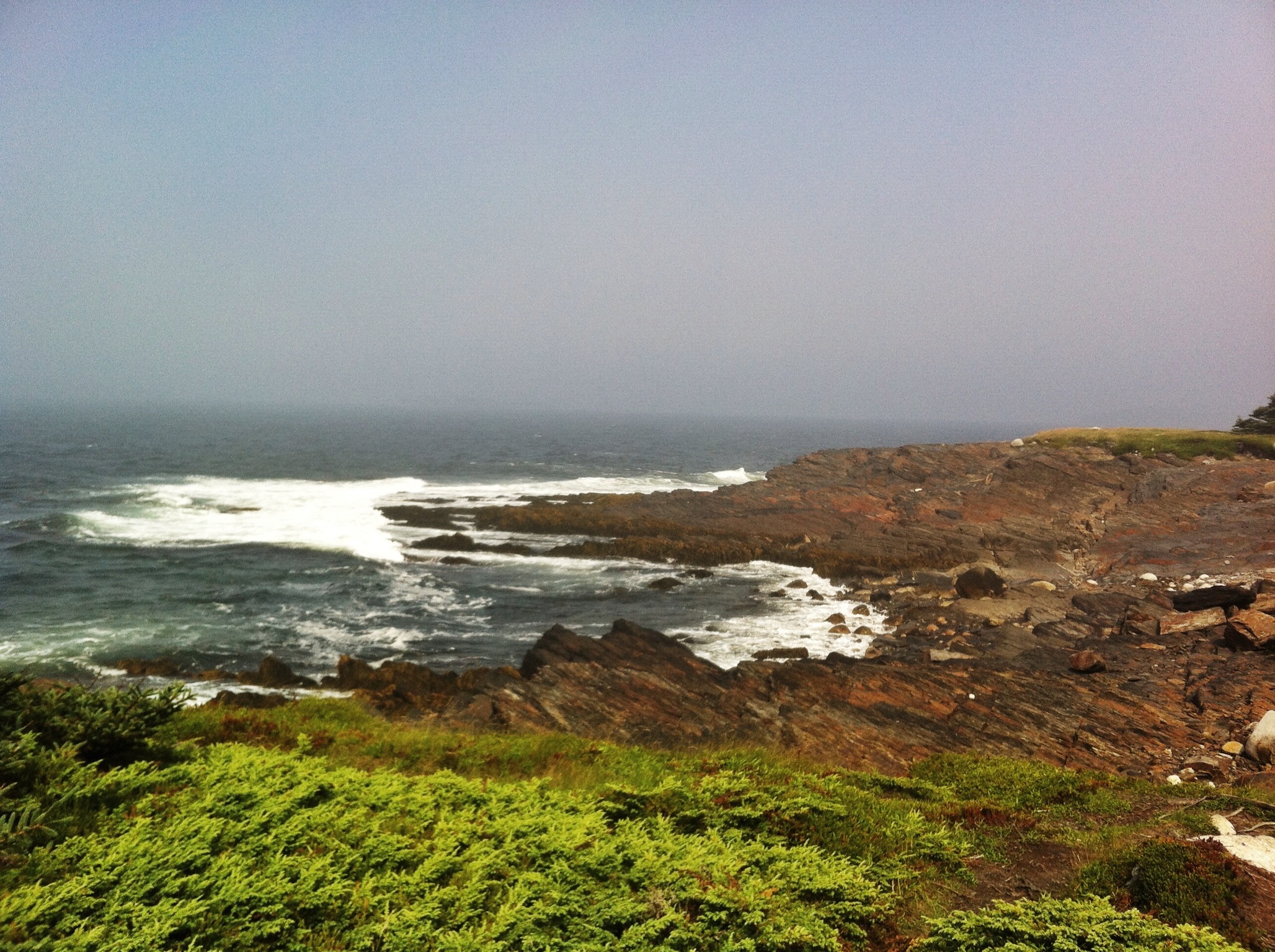 Gaff Point / Hirtle’s Beach trail photo 14 of 17