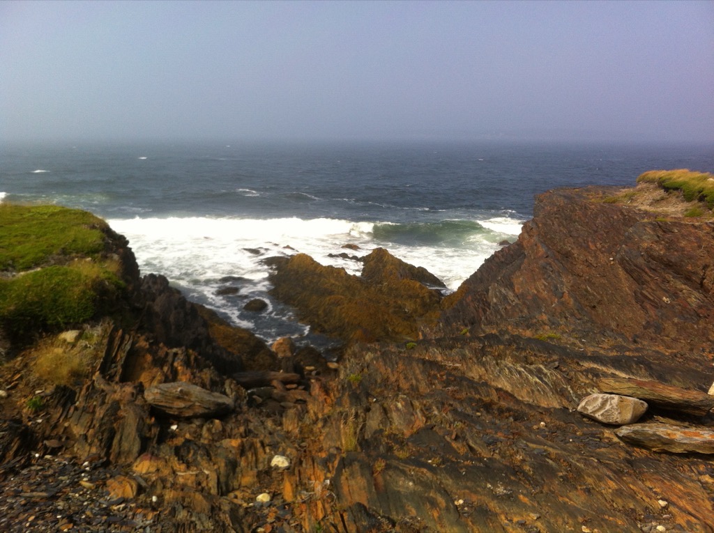 Gaff Point / Hirtle’s Beach trail photo 7 of 17