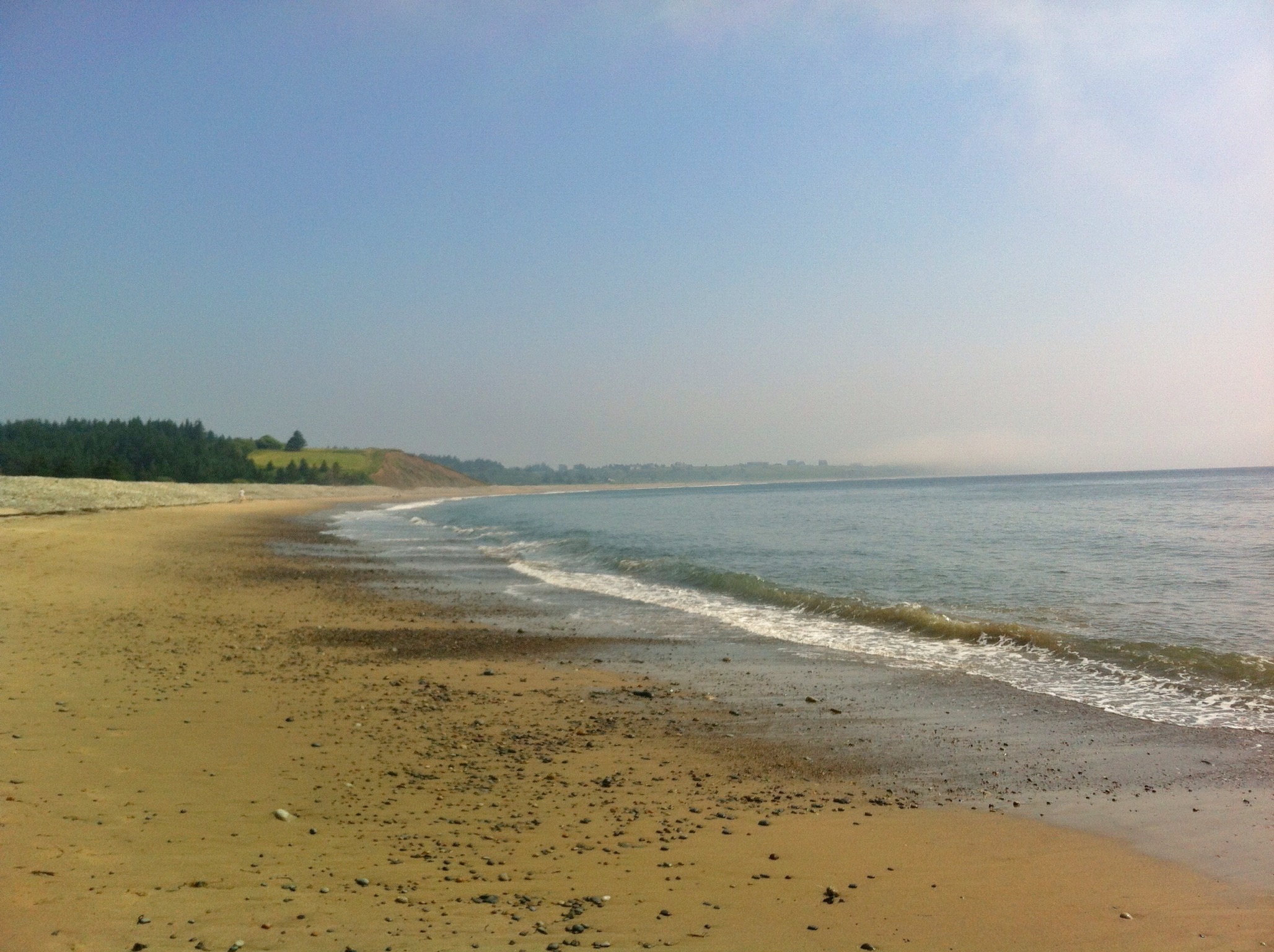 Gaff Point / Hirtle’s Beach trail photo 16 of 17