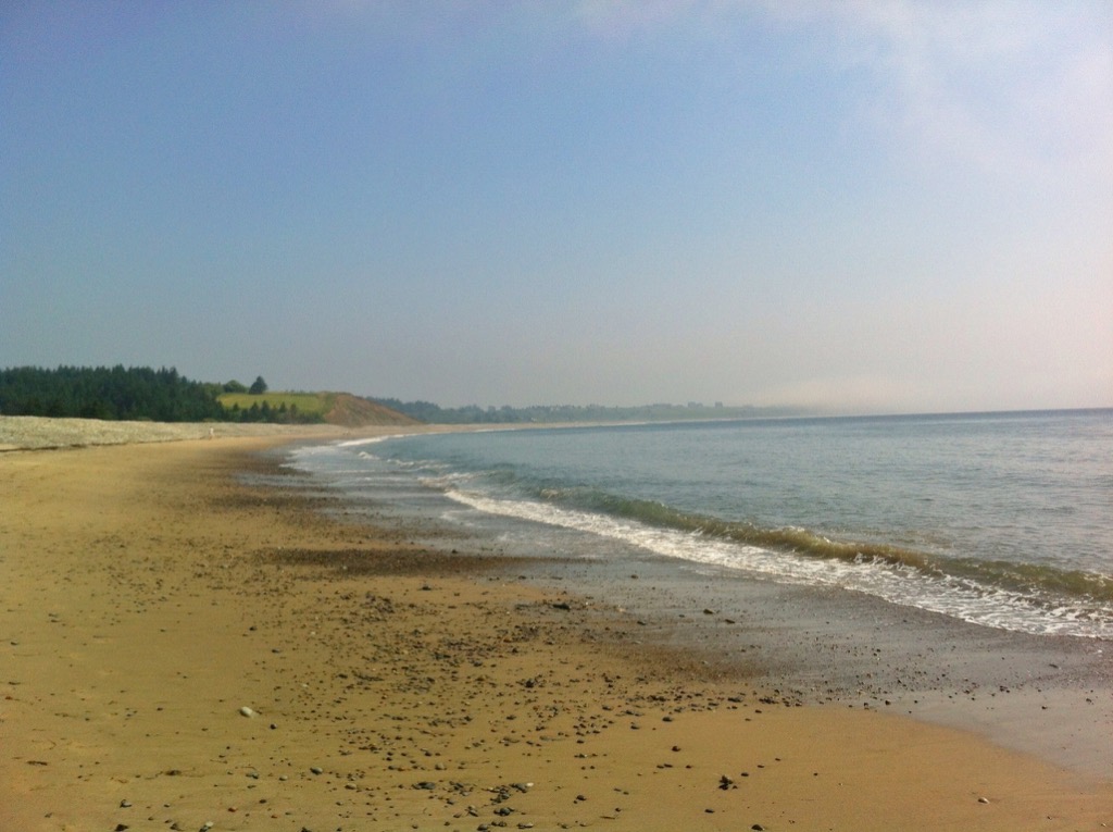 Gaff Point / Hirtle’s Beach trail photo 8 of 17
