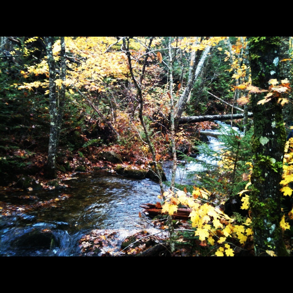 Sandy Cope Loop trail photo 3 of 15