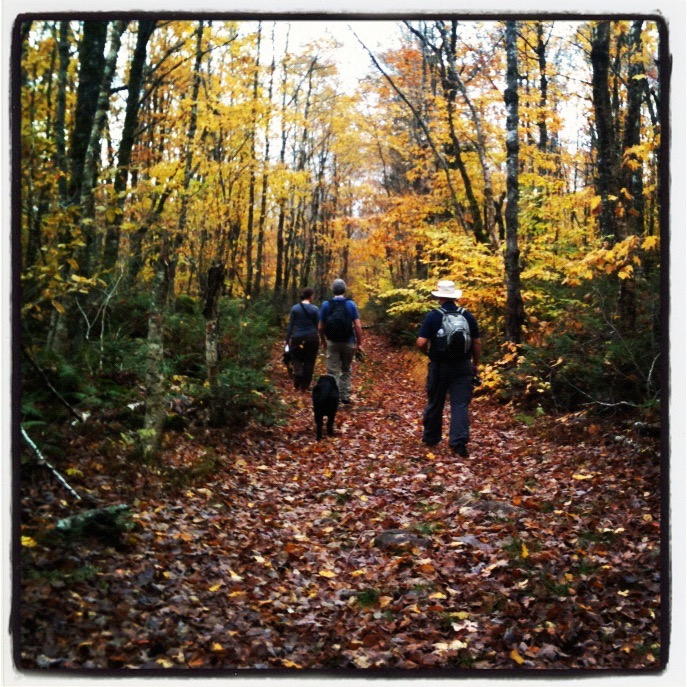 Sandy Cope Loop trail photo 5 of 15
