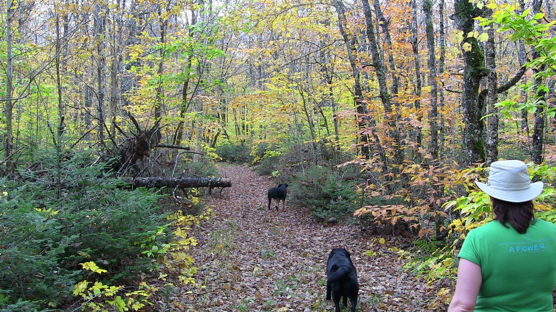 Sandy Cope Loop trail photo 6 of 15