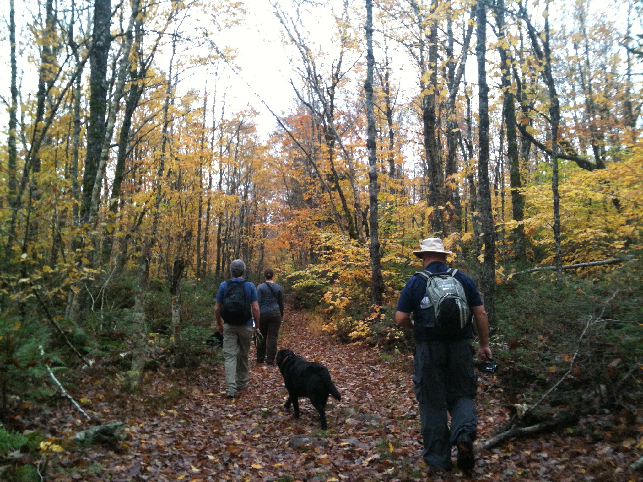 Sandy Cope Loop trail photo 11 of 15