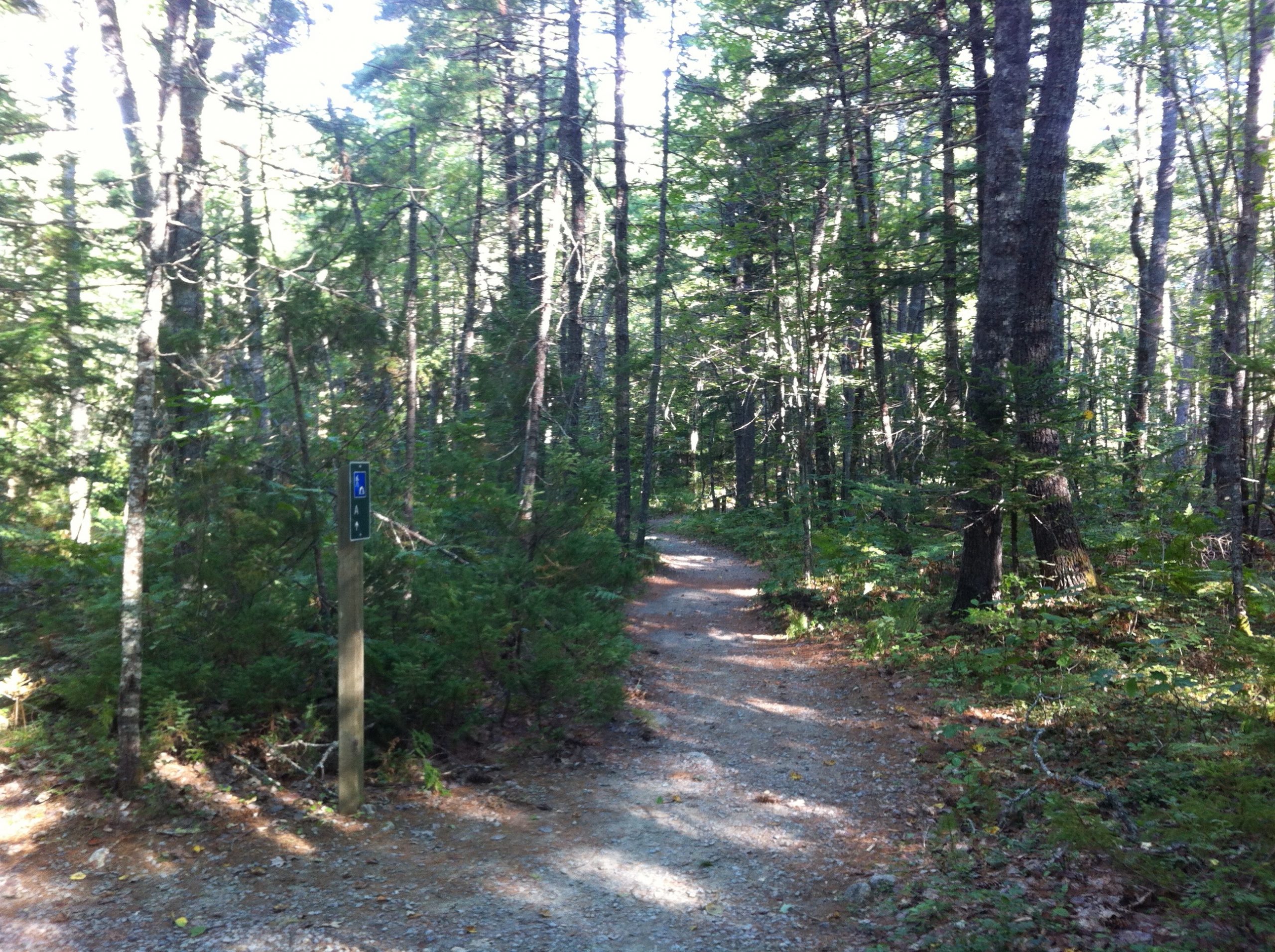 Geocaching & Hiking Challenge in Kejimkujik National Park