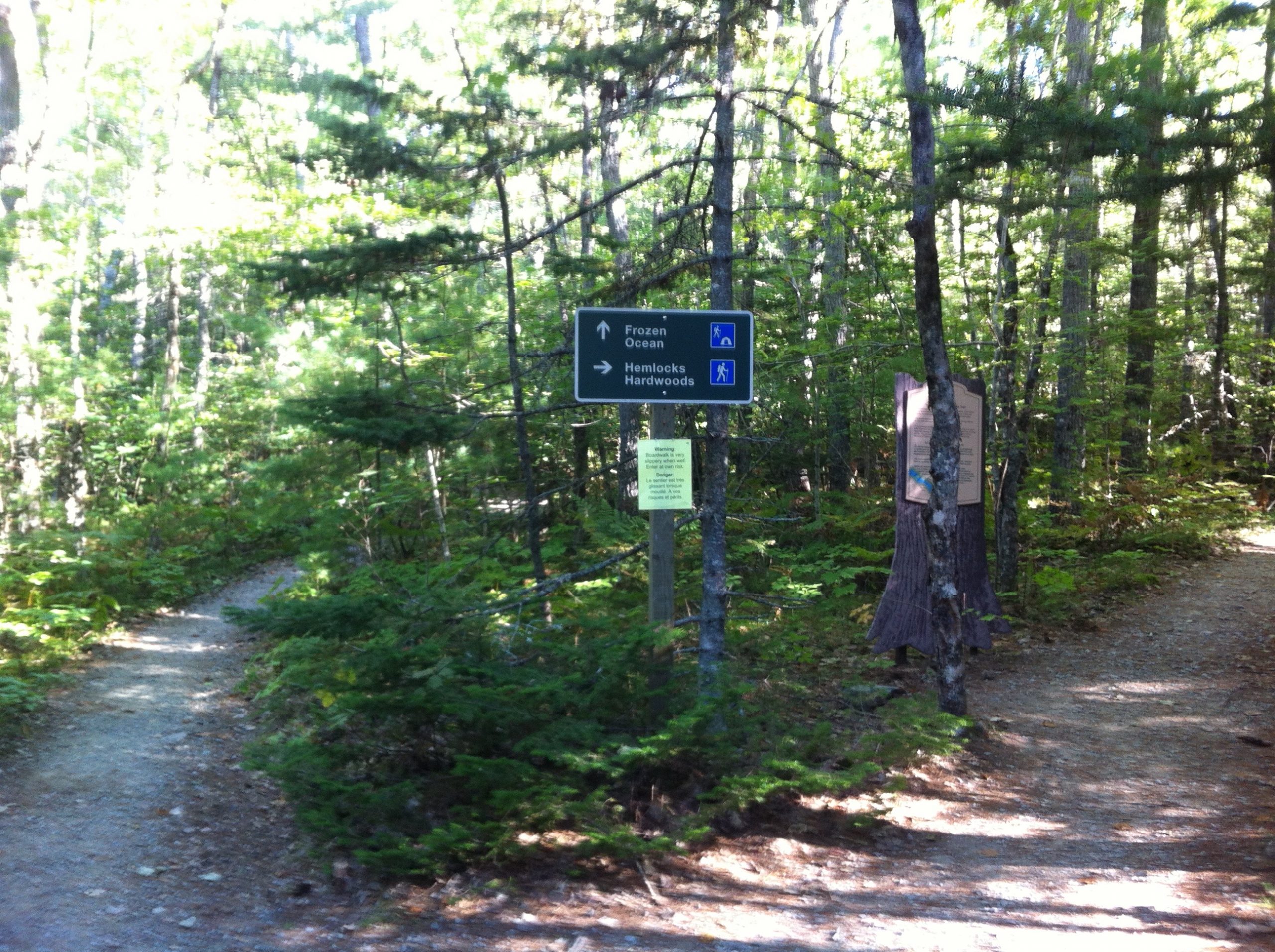 Hemlocks and Hardwoods trail photo 2 of 9