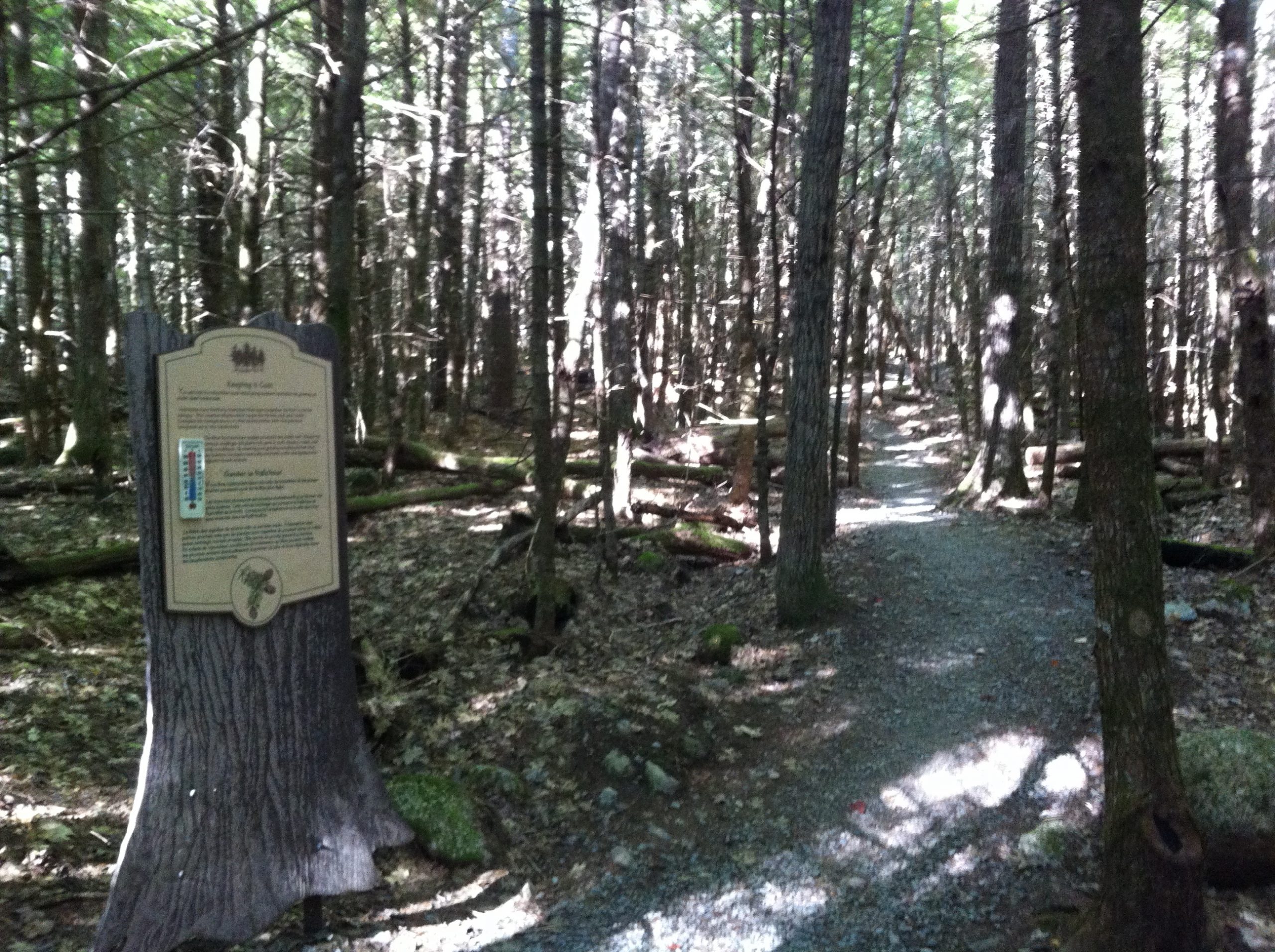 Hemlocks and Hardwoods trail photo 4 of 9