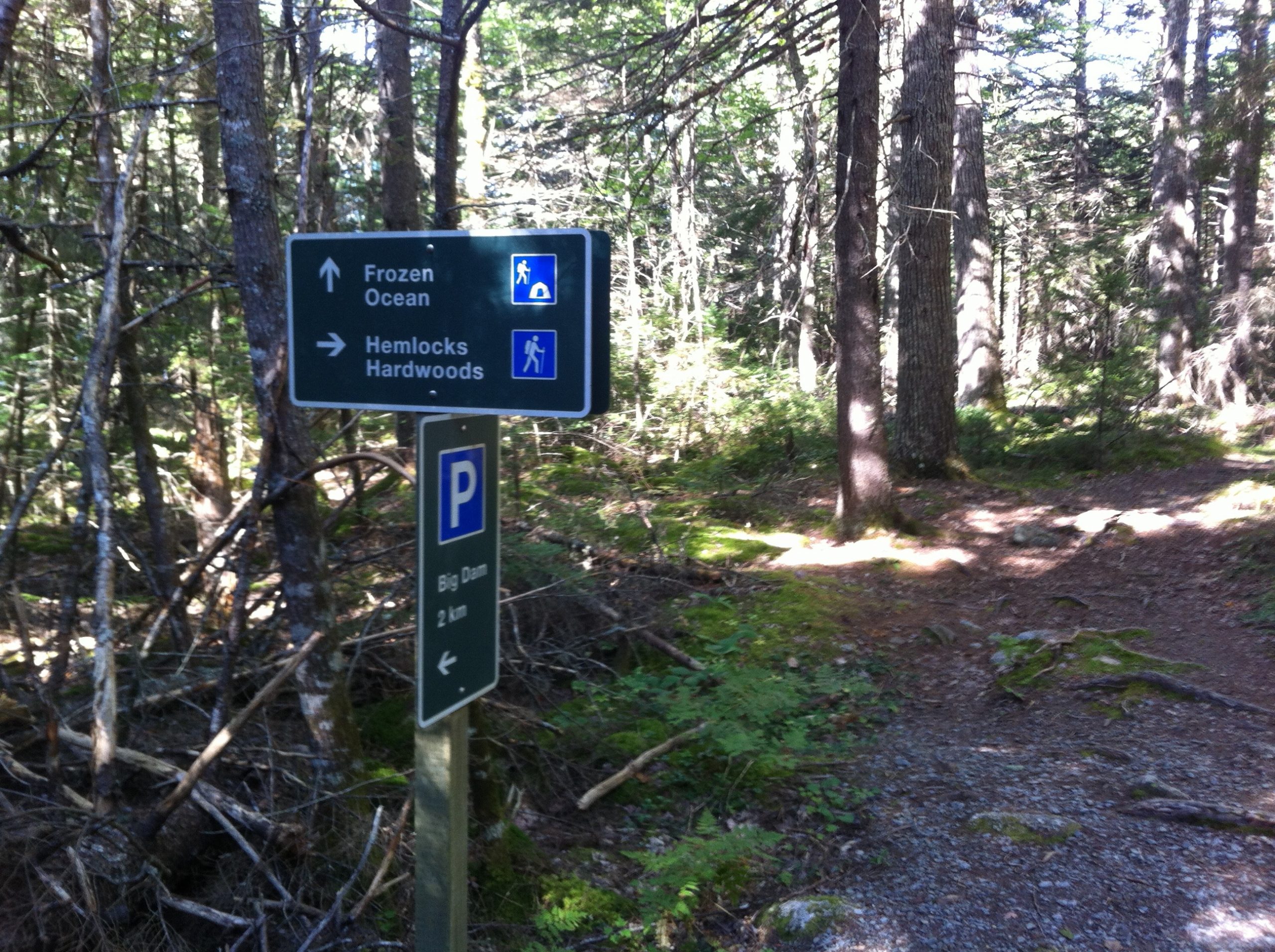 Hemlocks and Hardwoods trail photo 8 of 9