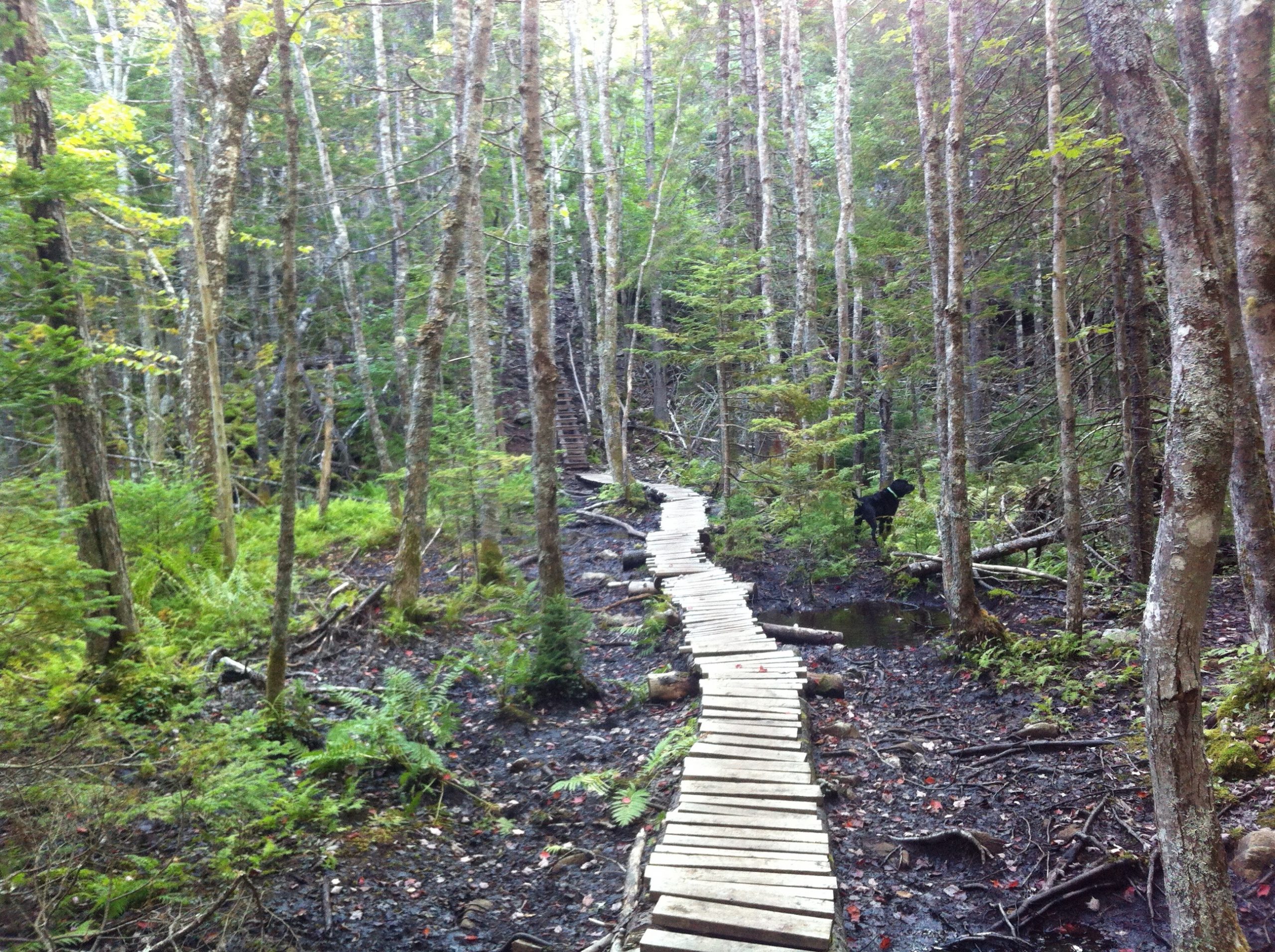 Kearney Lake trail photo 9 of 11