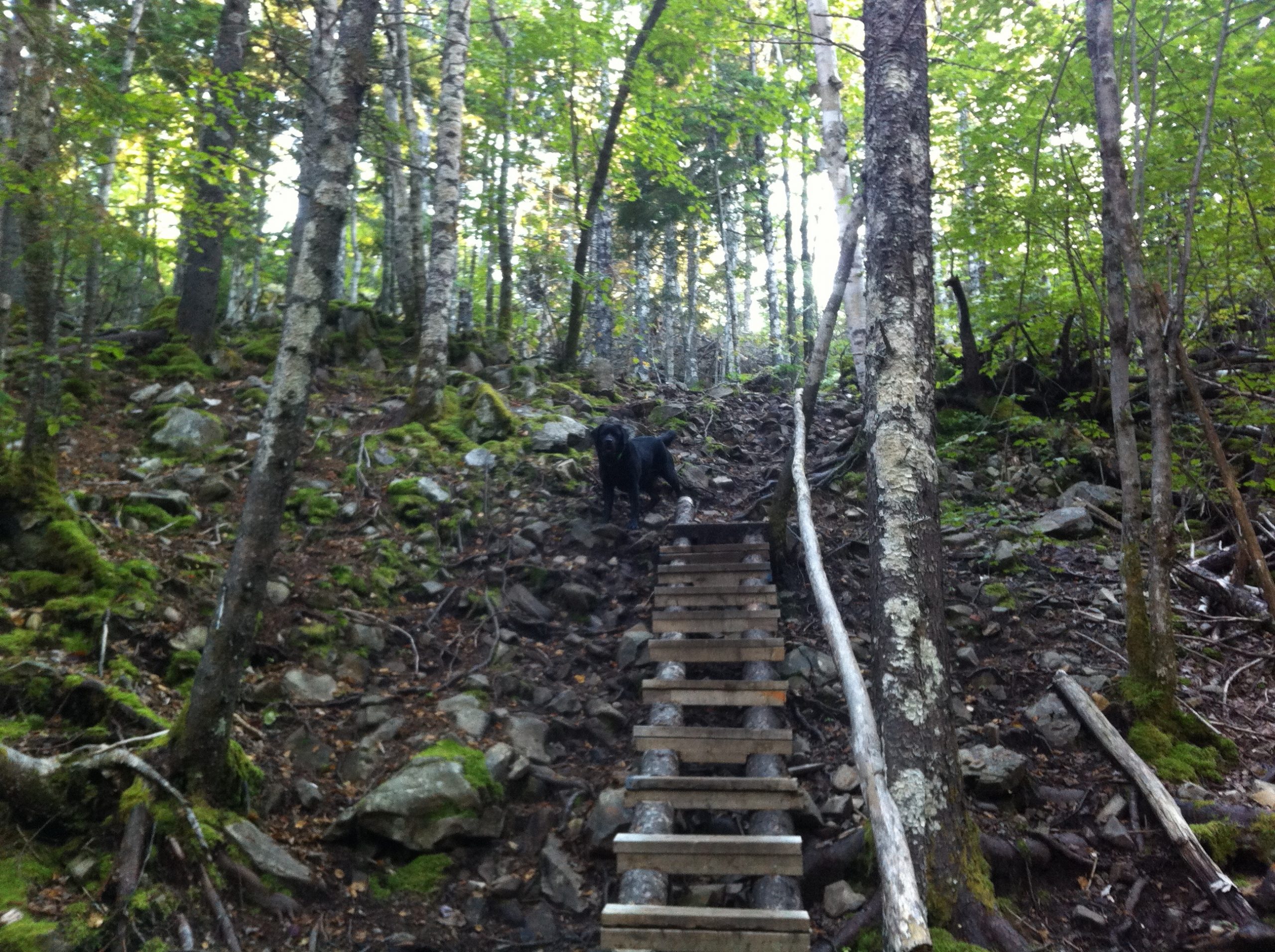 Kearney Lake trail photo 10 of 11