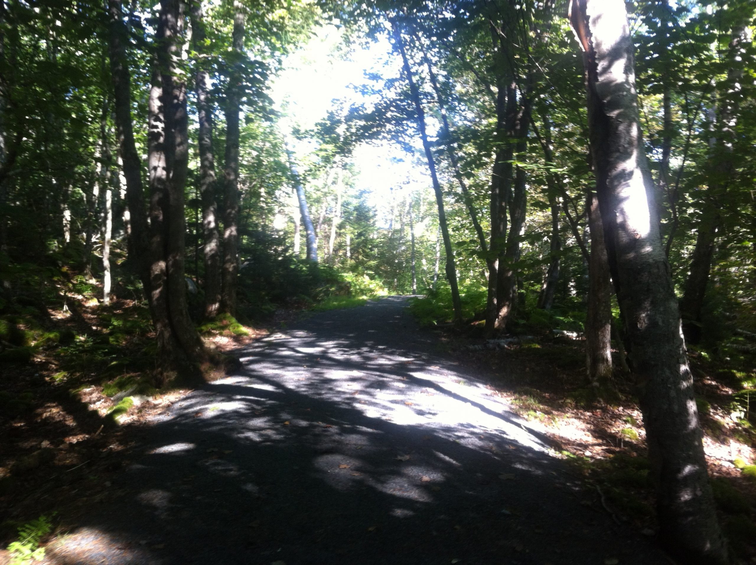 Bedford Old Coach Road trail photo 2 of 8