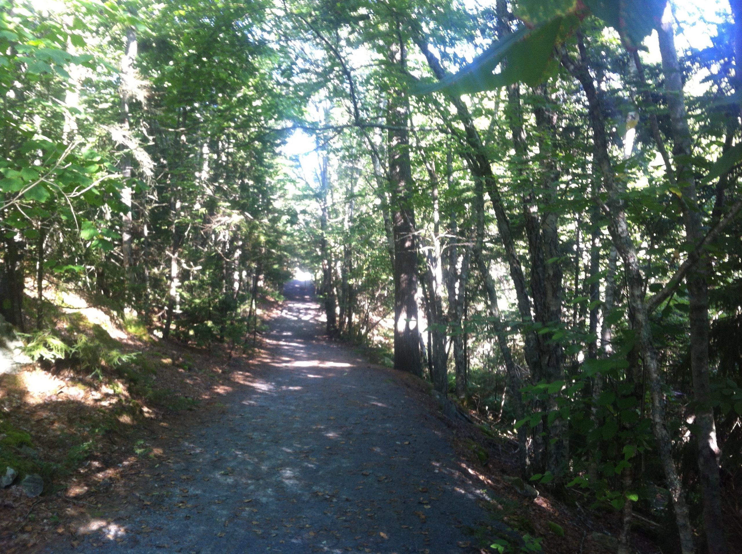 Bedford Old Coach Road trail photo 4 of 8