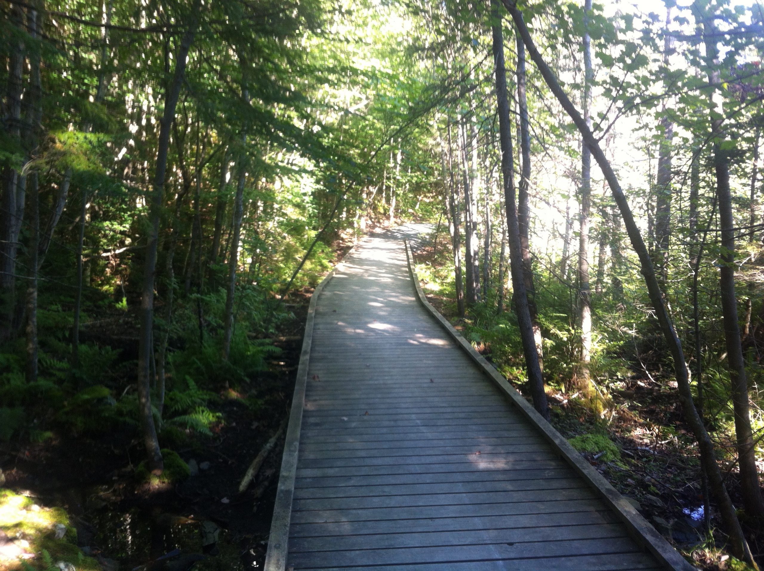 Bedford Old Coach Road trail photo 5 of 8
