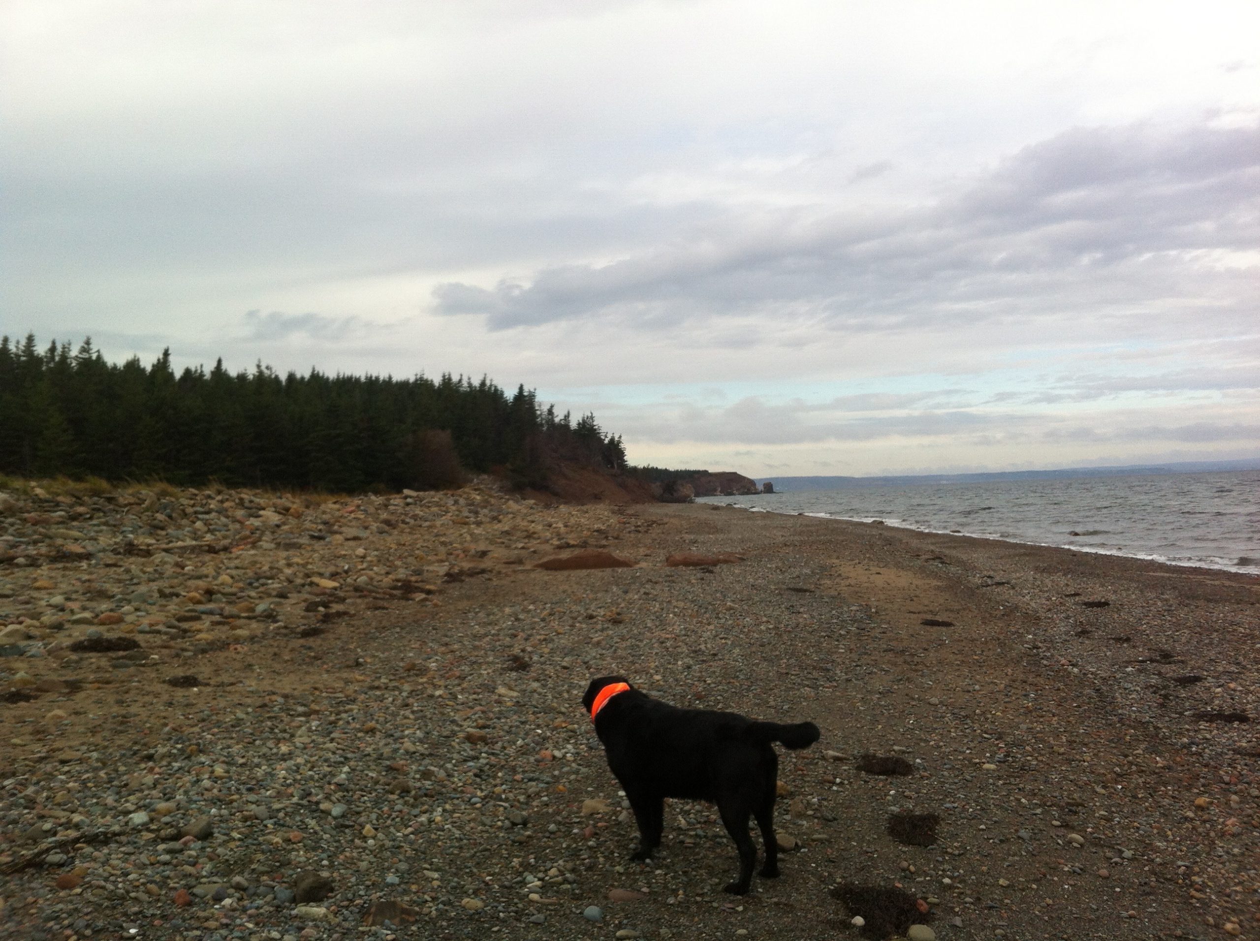 Pomquet Acadian Trails trail photo 7 of 12