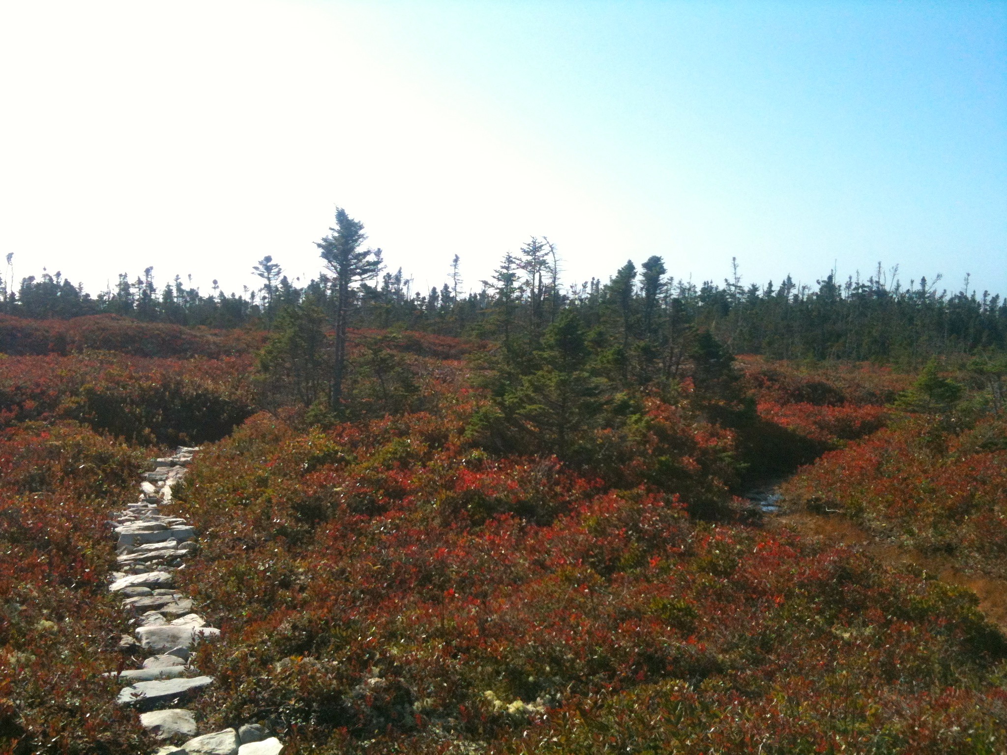Taylor Head Provincial Park trail photo 2 of 6