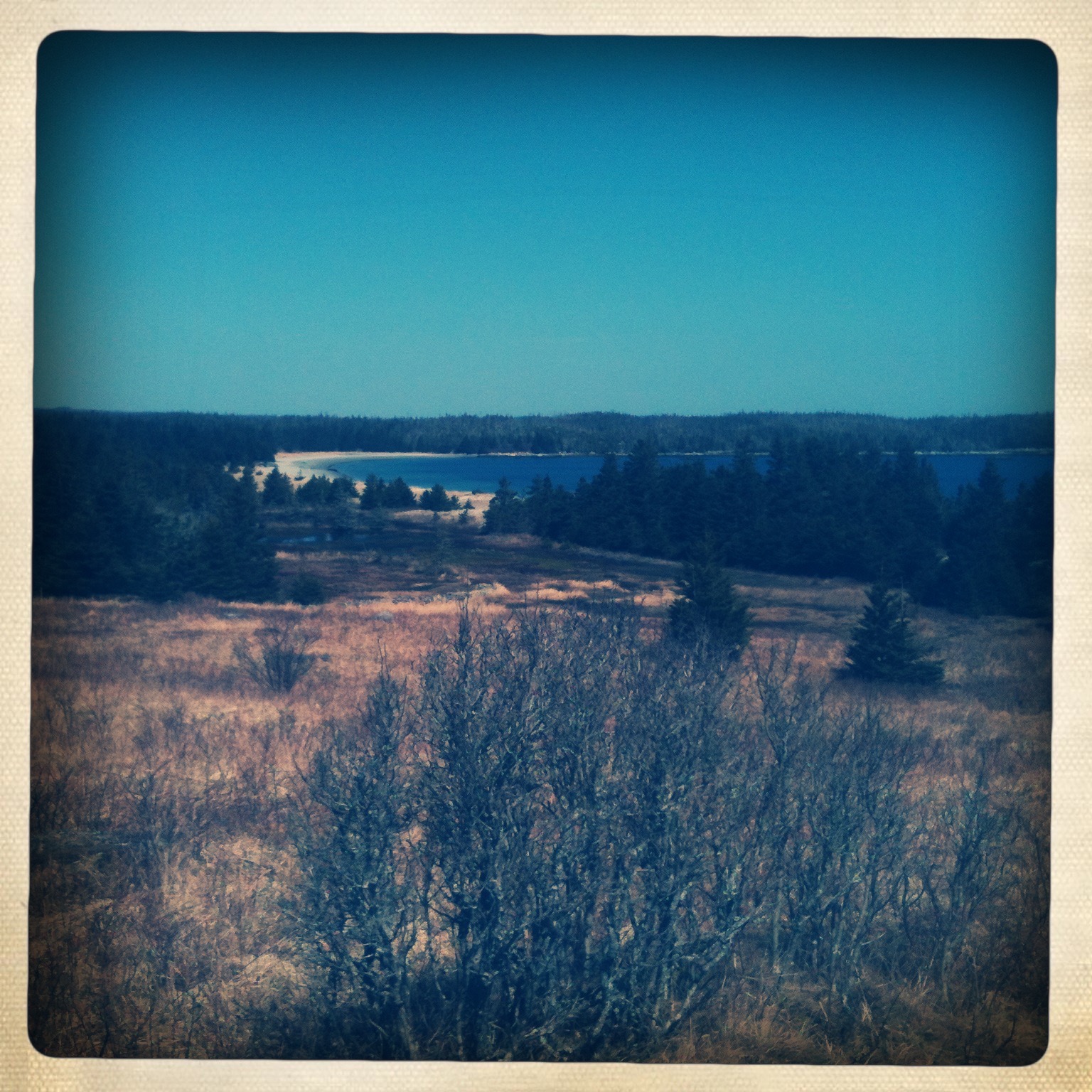 Taylor Head Provincial Park trail photo 3 of 6
