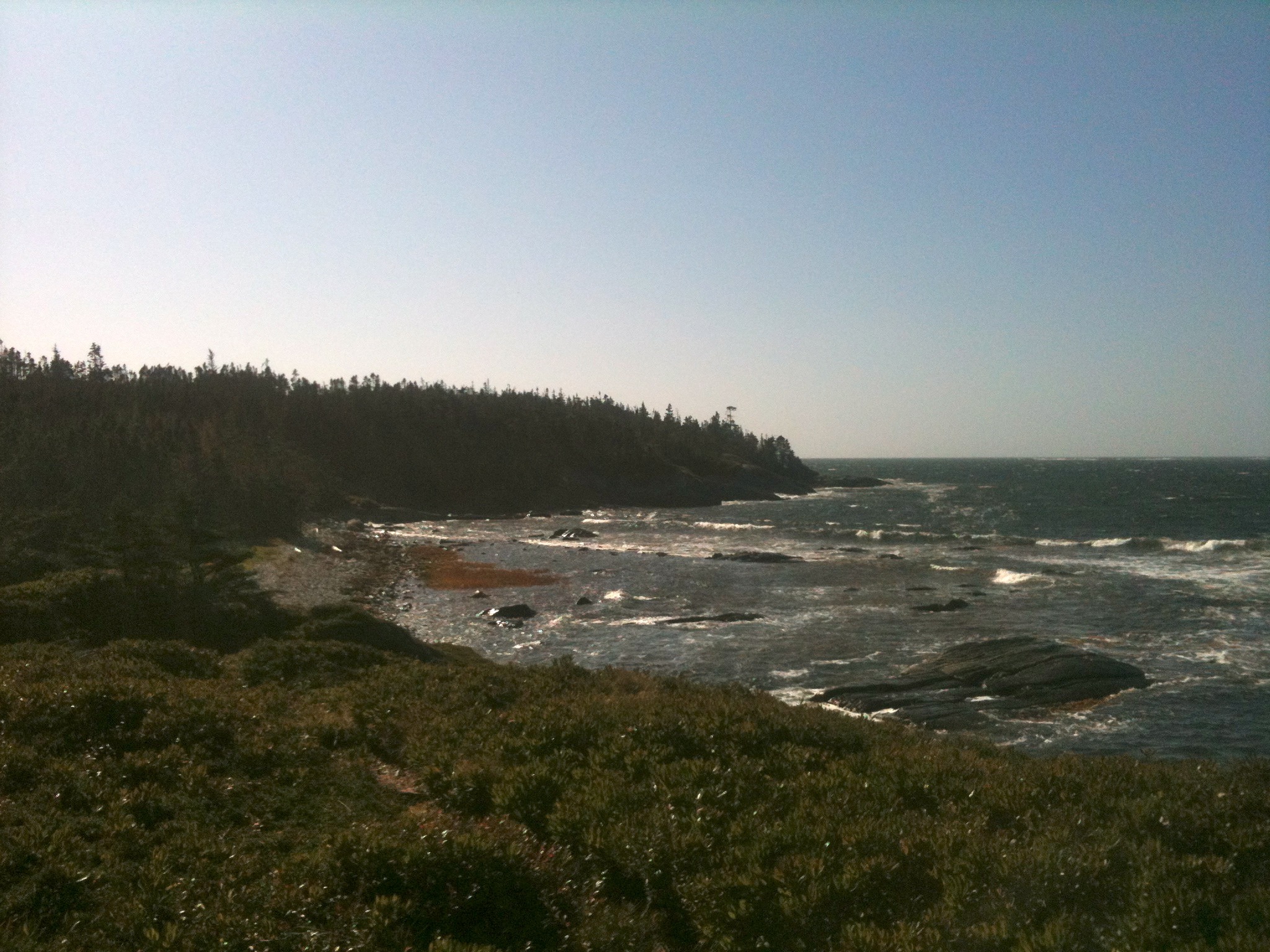 Taylor Head Provincial Park trail photo 4 of 6