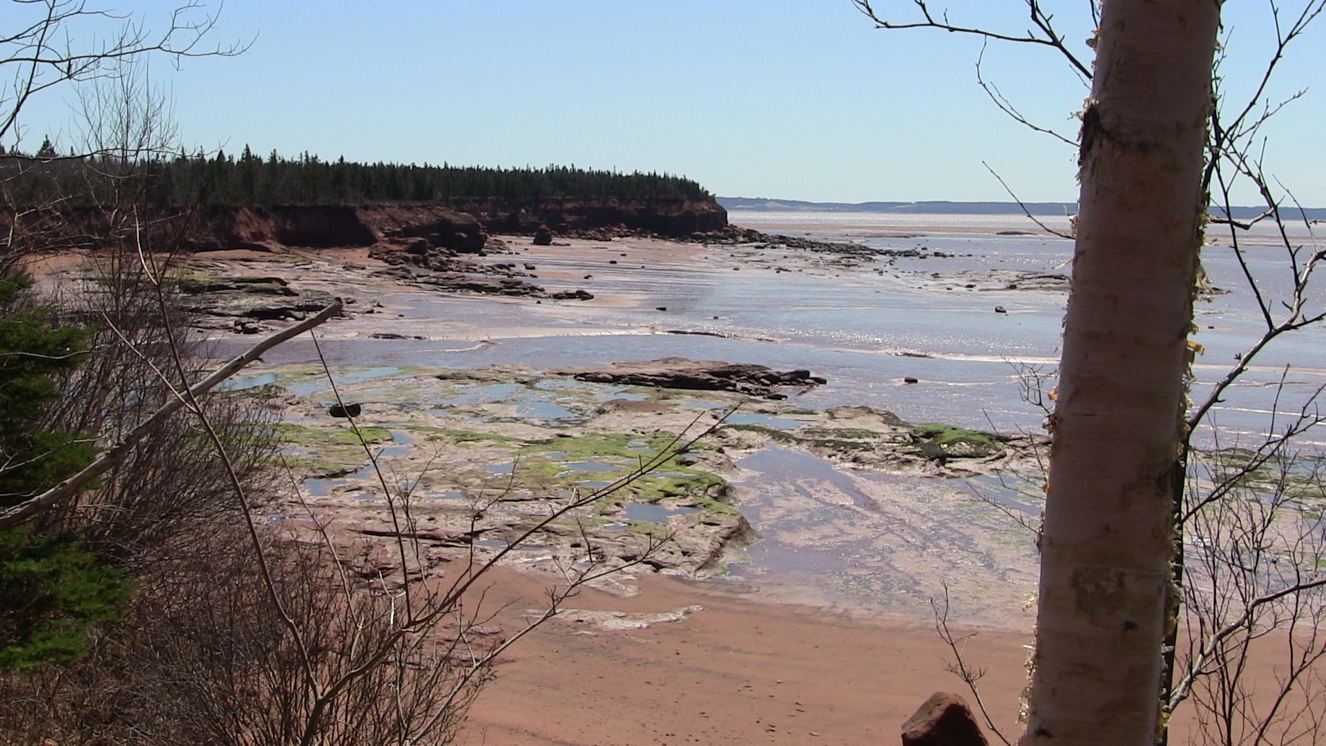 Thomas' Cove trail photo 4 of 9