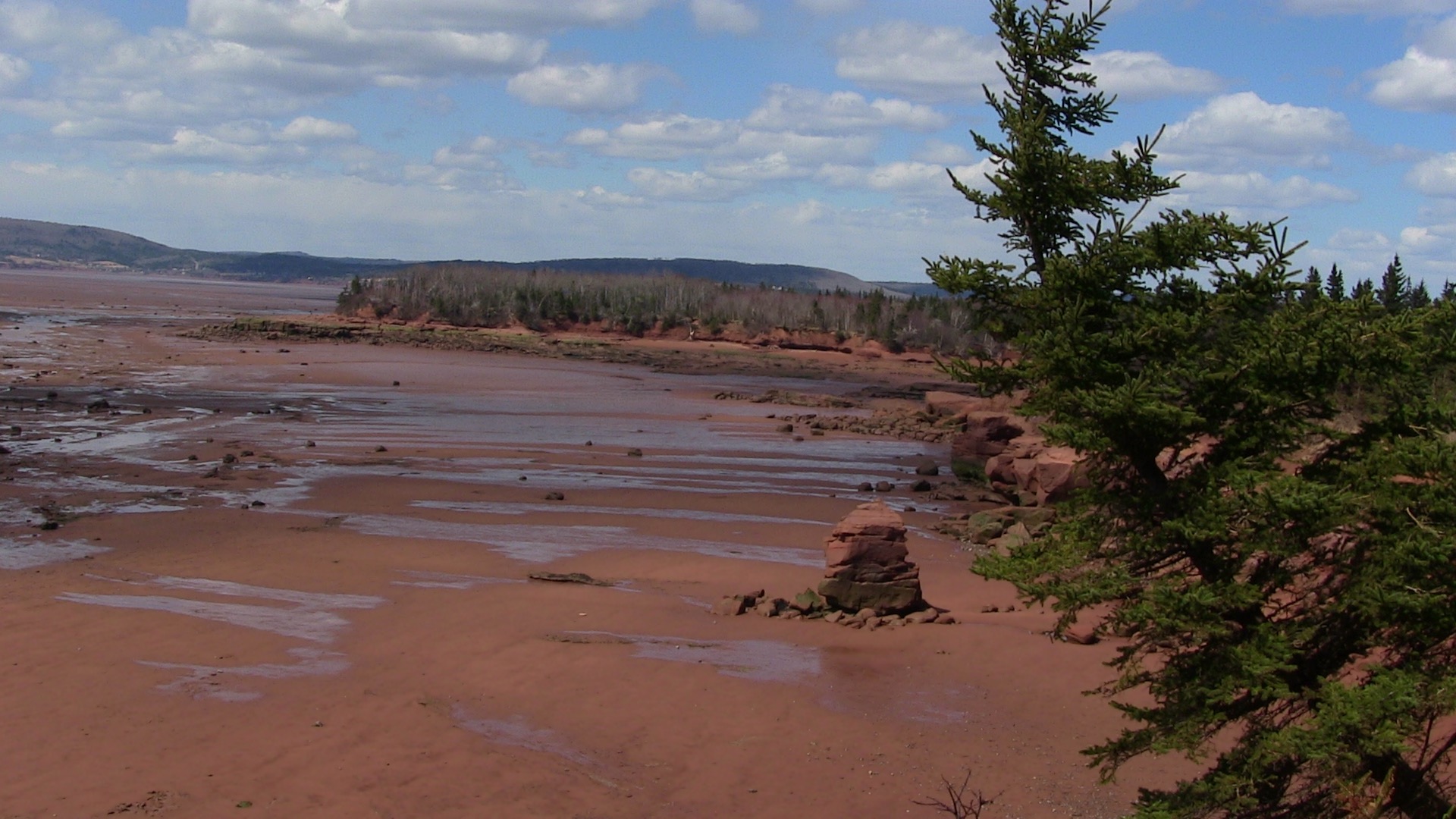 Thomas' Cove trail photo 6 of 9